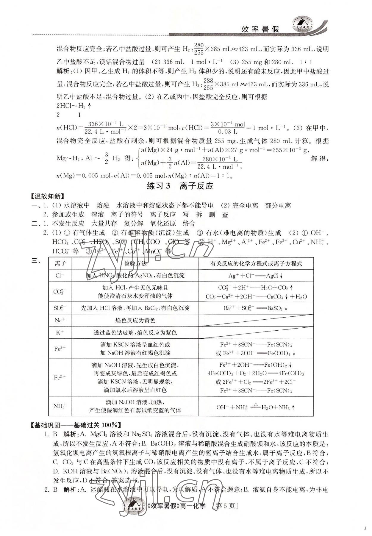 2022年效率暑假江苏人民出版社高一化学 第5页