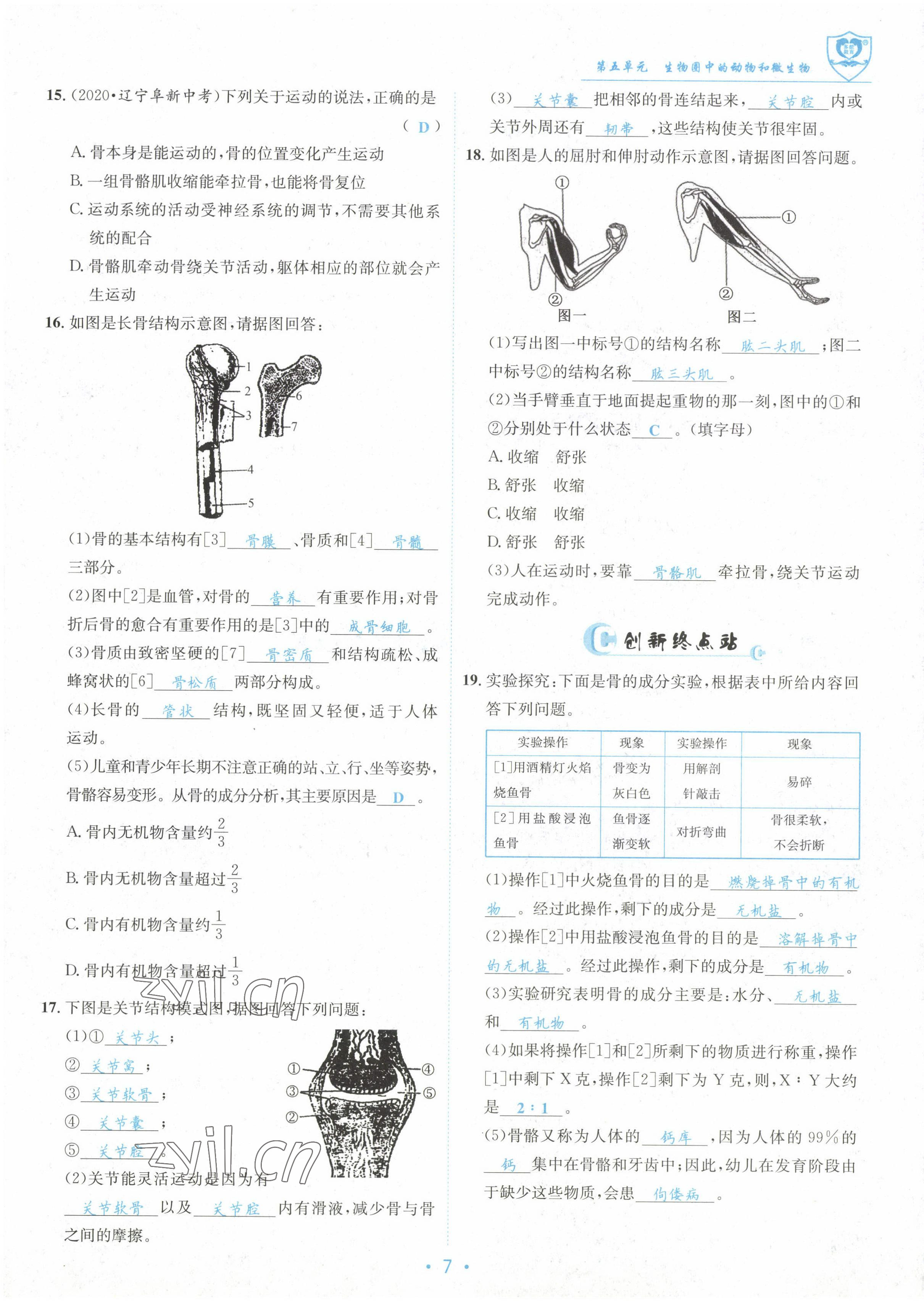 2022年指南針課堂優(yōu)化八年級生物上冊北師大版 參考答案第7頁