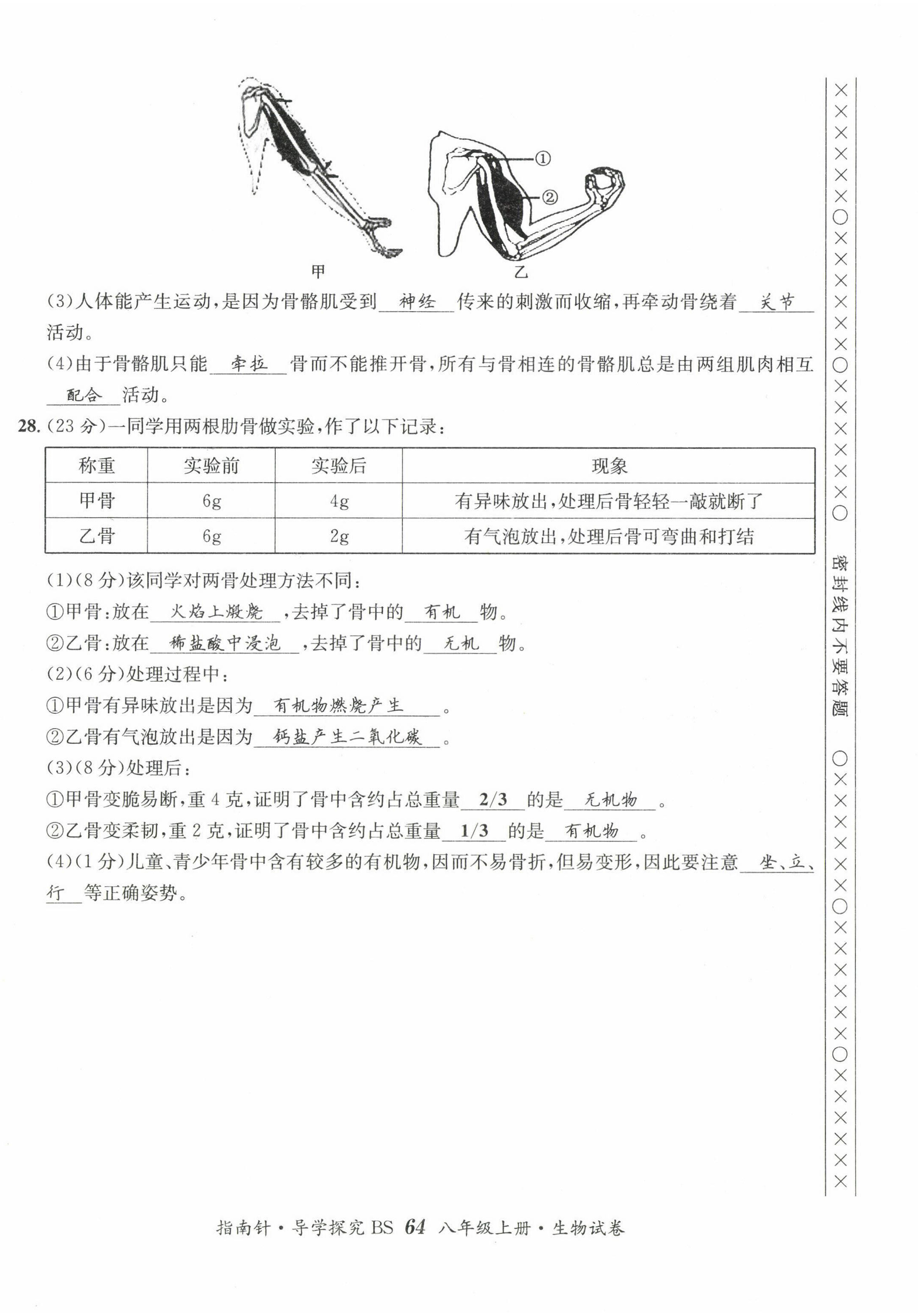 2022年指南針課堂優(yōu)化八年級(jí)生物上冊(cè)北師大版 第4頁(yè)