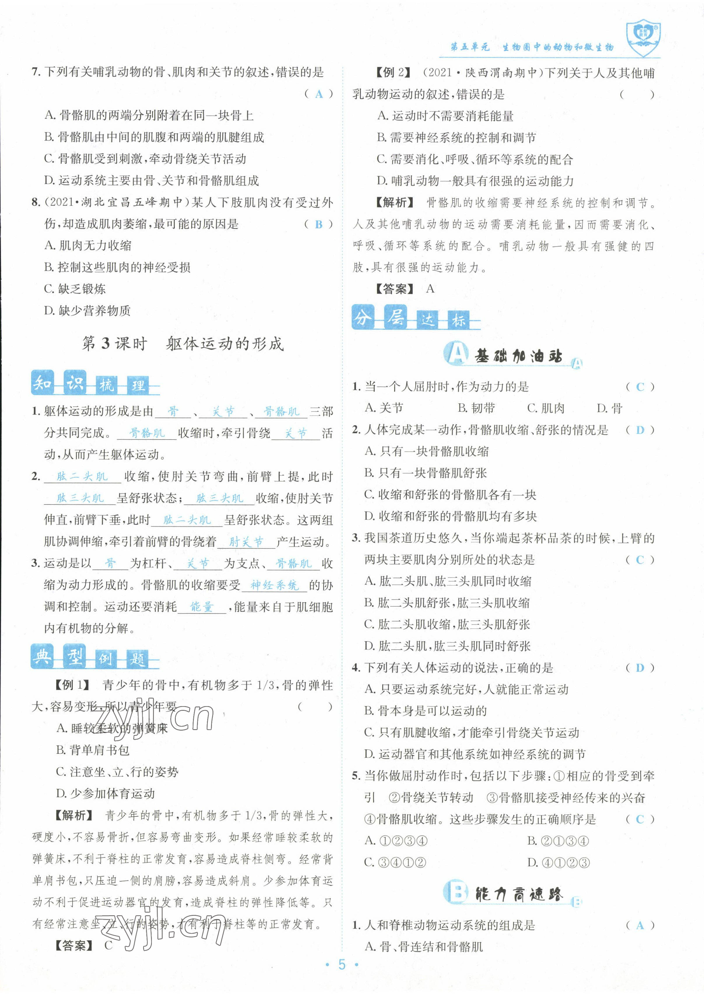 2022年指南針課堂優(yōu)化八年級生物上冊北師大版 參考答案第5頁