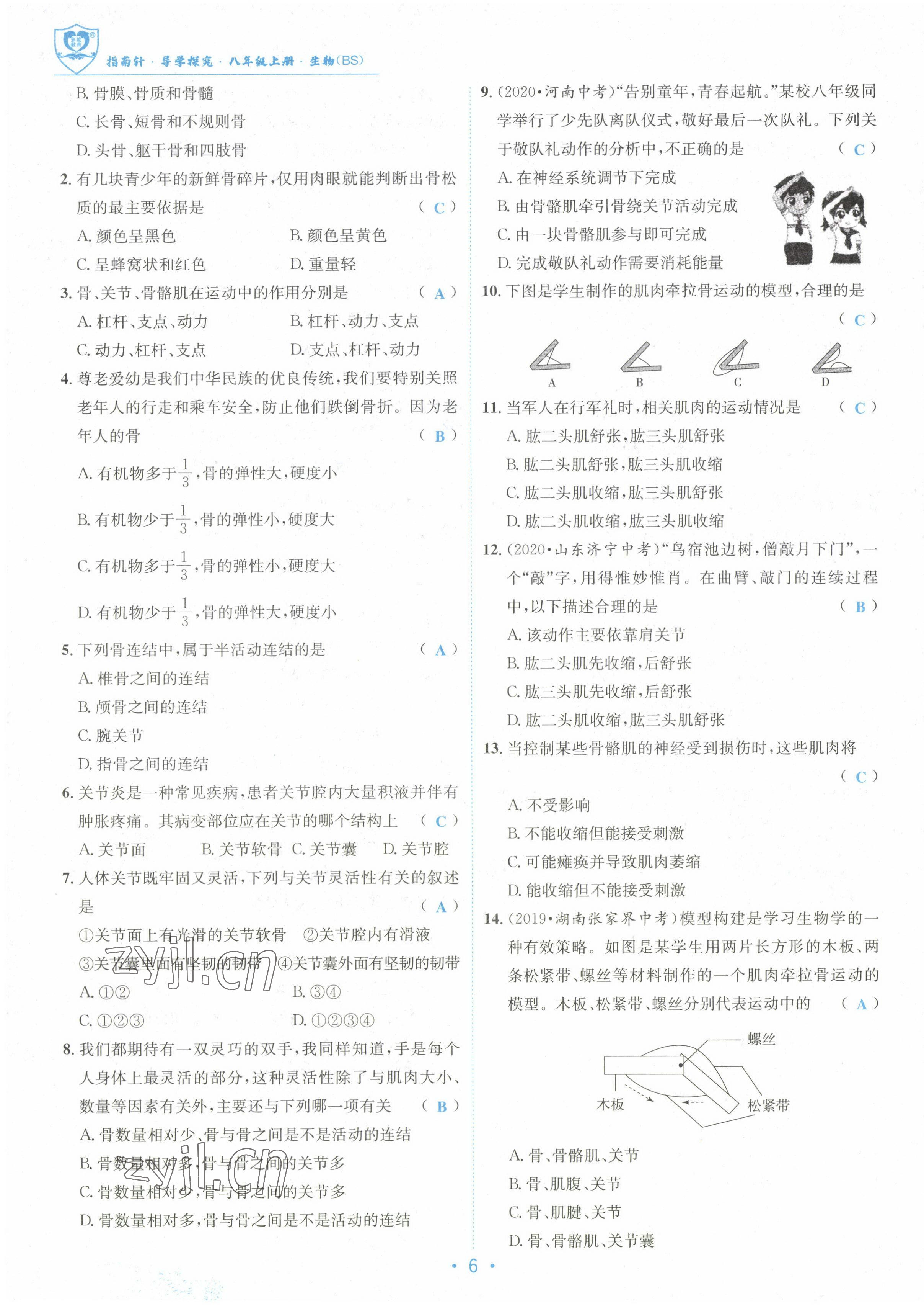 2022年指南針課堂優(yōu)化八年級(jí)生物上冊(cè)北師大版 參考答案第6頁(yè)