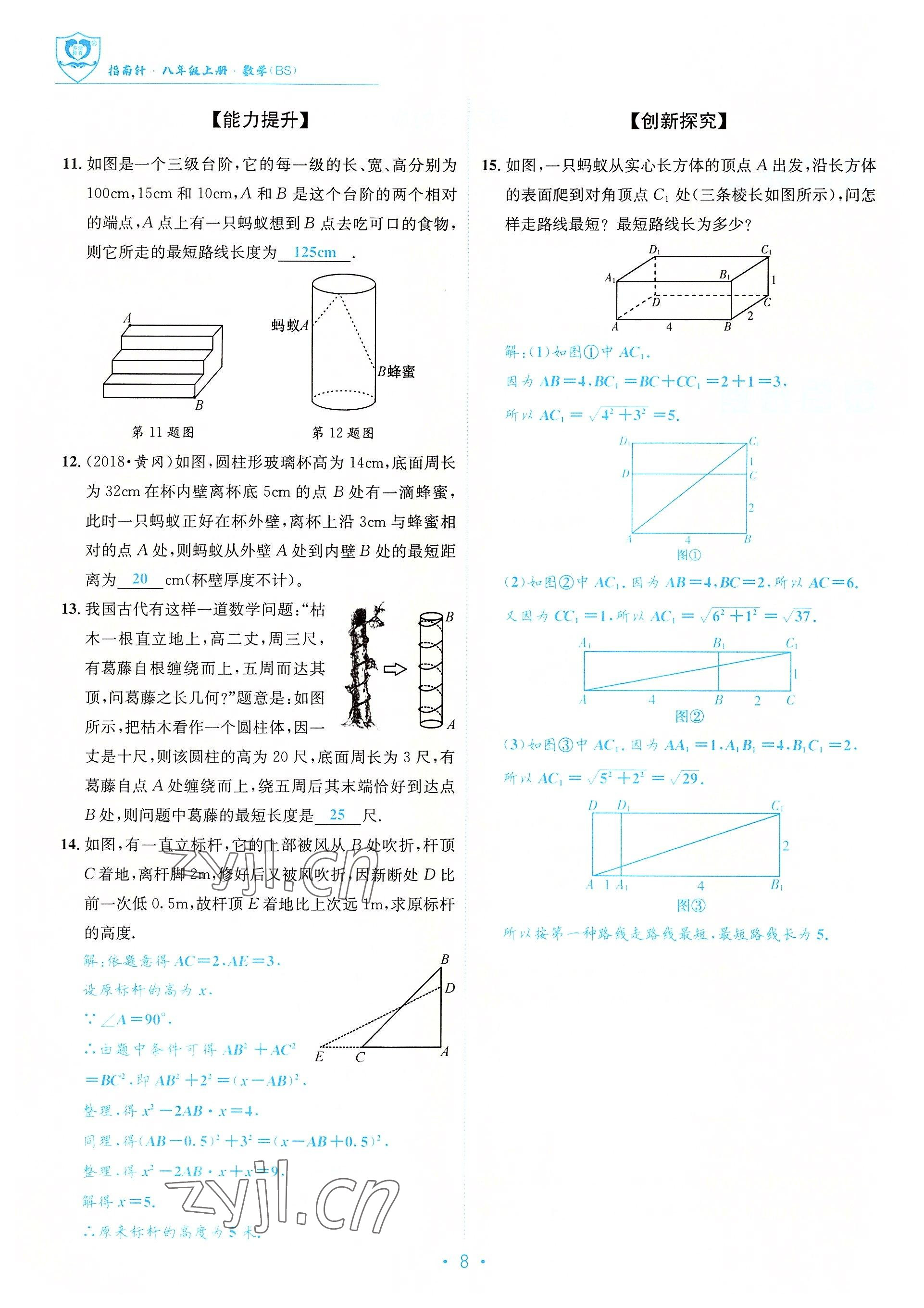 2022年指南針課堂優(yōu)化八年級(jí)數(shù)學(xué)上冊北師大版 參考答案第8頁