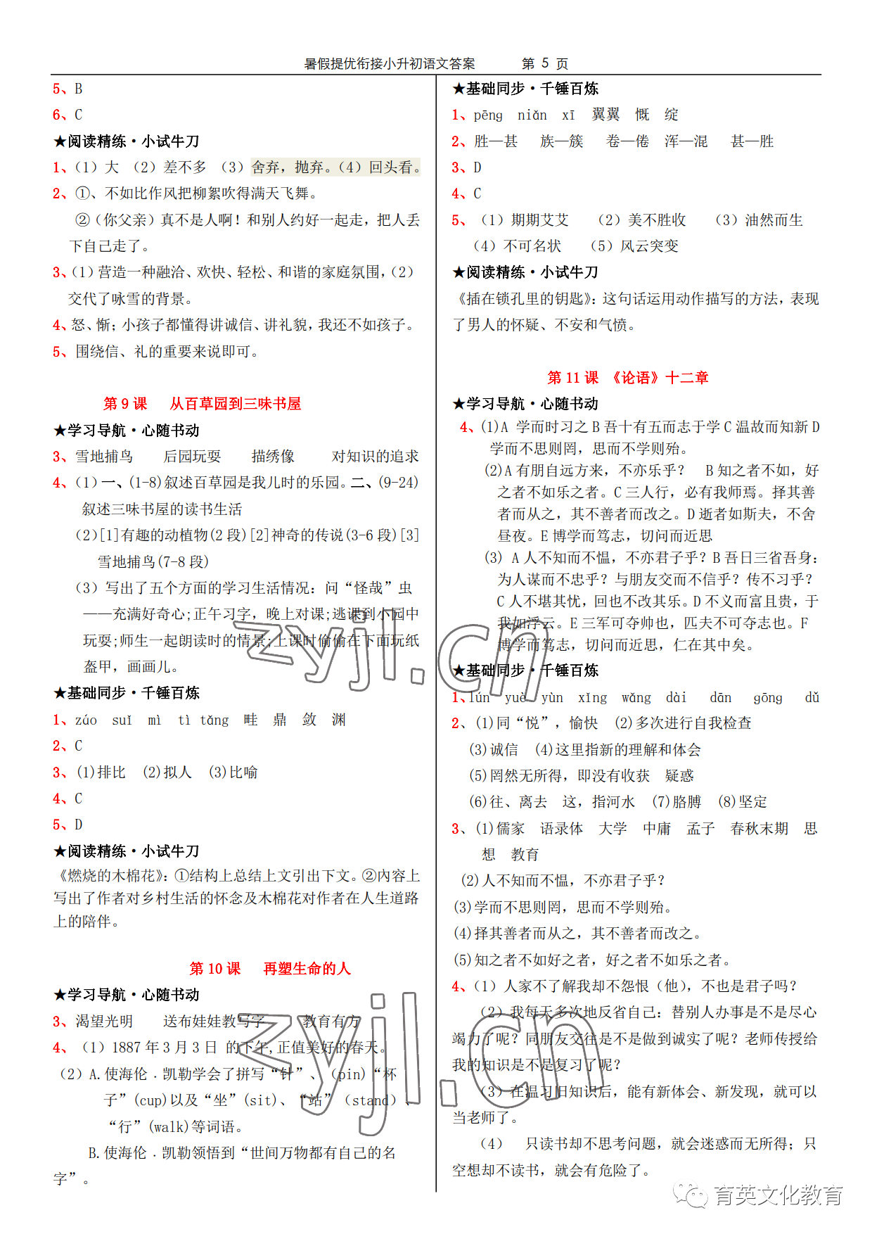 2022年領跑新學期暑假提優(yōu)銜接七升八 參考答案第5頁