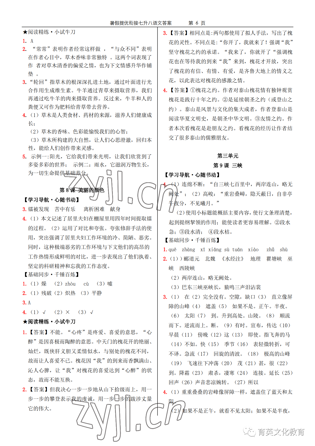 2022年領跑新學期暑假提優(yōu)銜接七升八合訂本 參考答案第6頁