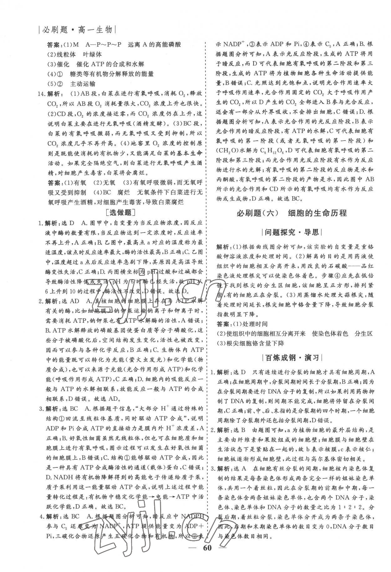 2022年假期作业必刷题高一生物 第6页