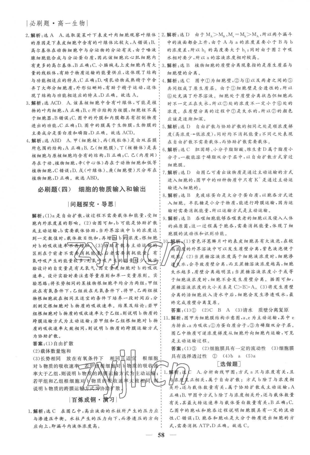 2022年假期作业必刷题高一生物 第4页