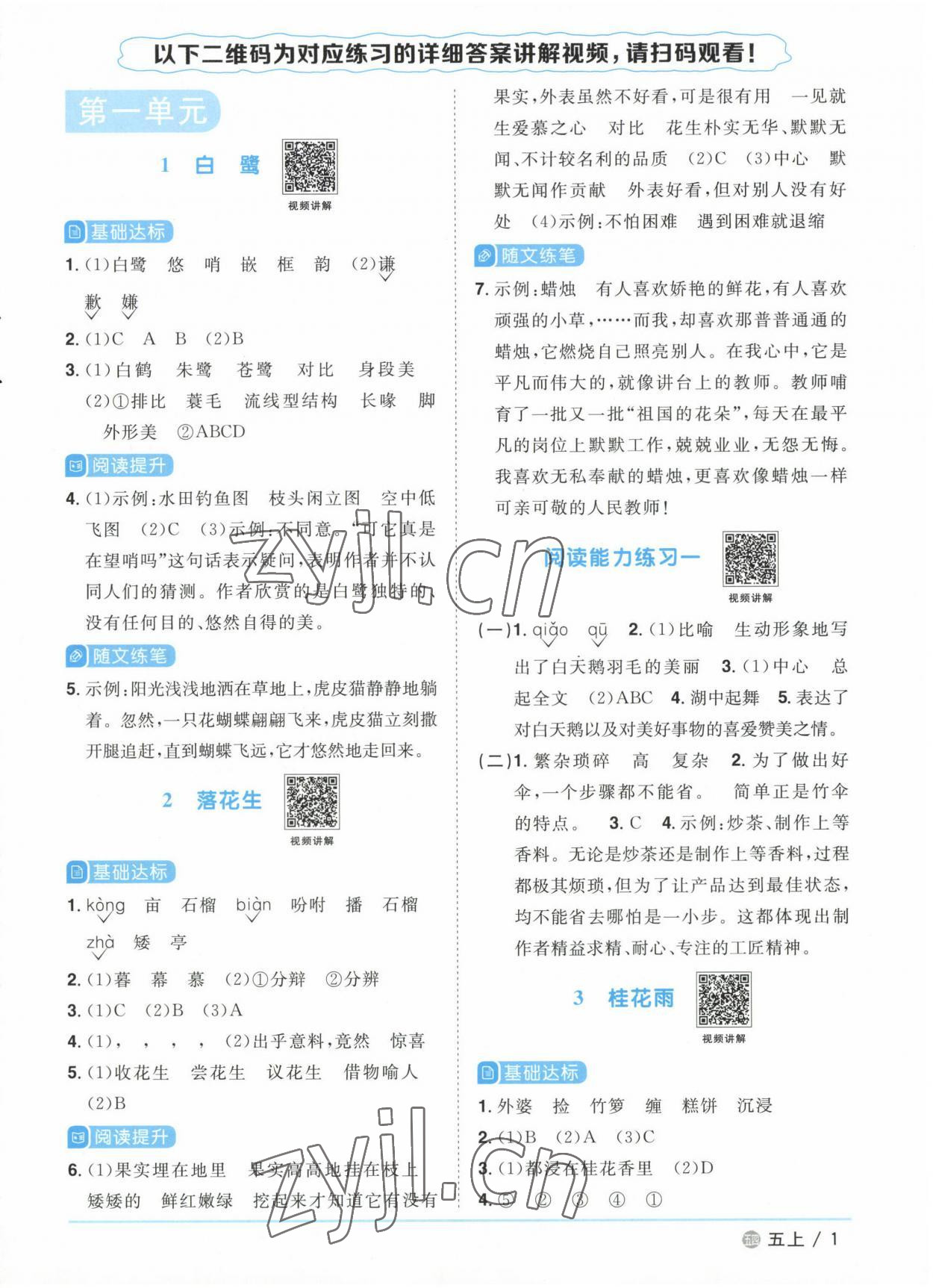 2022年阳光同学课时优化作业五年级语文上册人教版五四制 参考答案第1页