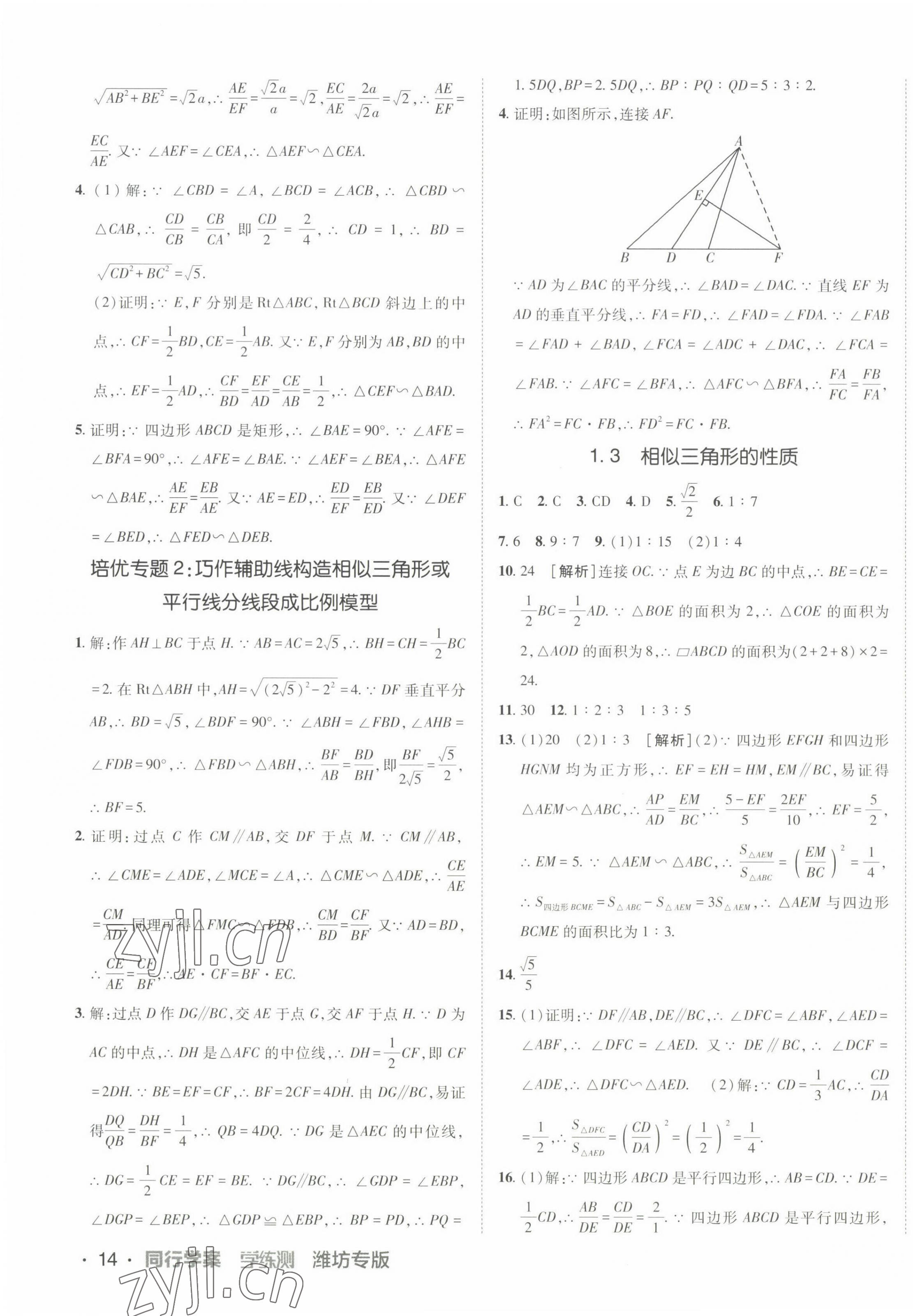 2022年同行學(xué)案學(xué)練測九年級(jí)數(shù)學(xué)上冊青島版 第3頁