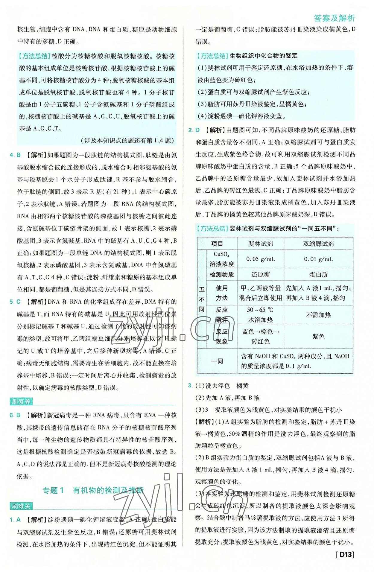 2022年高中必刷题高中生物必修1人教版 参考答案第13页