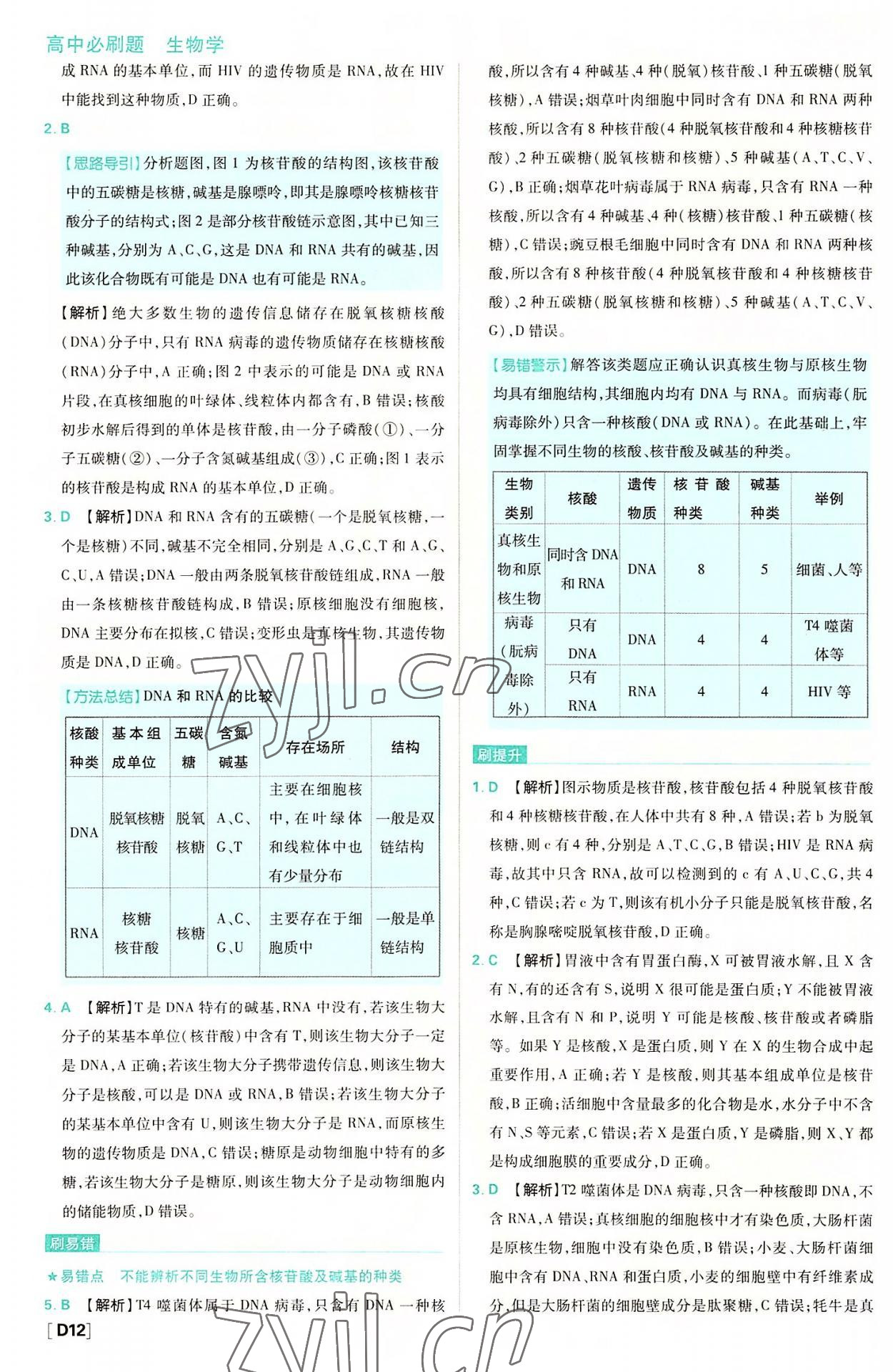 2022年高中必刷题高中生物必修1人教版 参考答案第12页