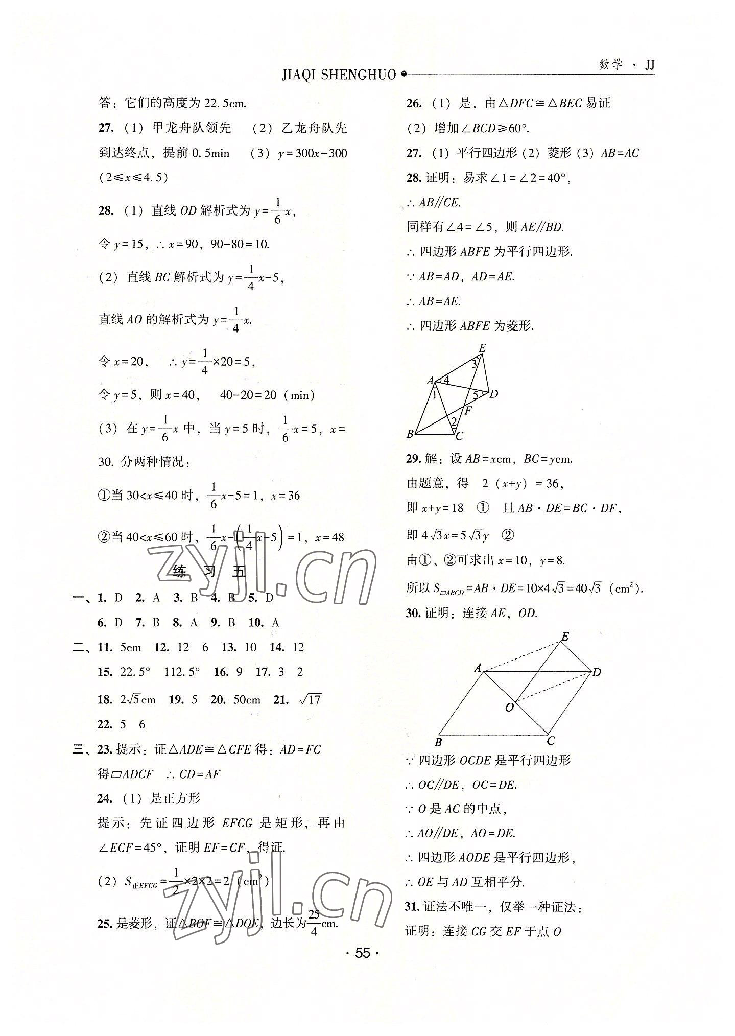 2022年假期生活暑假八年級數學冀教版方圓電子音像出版社 第3頁