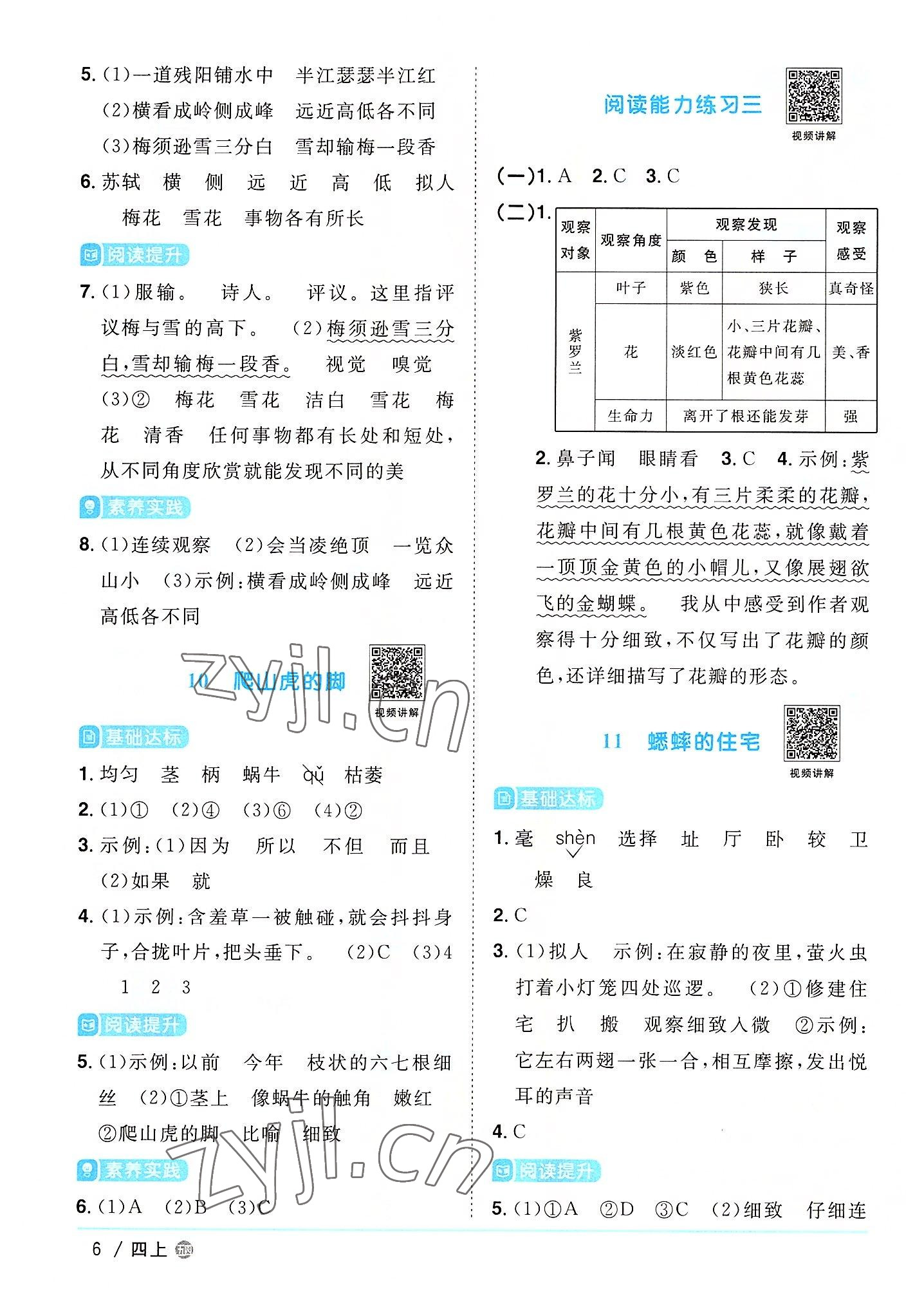 2022年阳光同学课时优化作业四年级语文上册人教版五四制 第6页