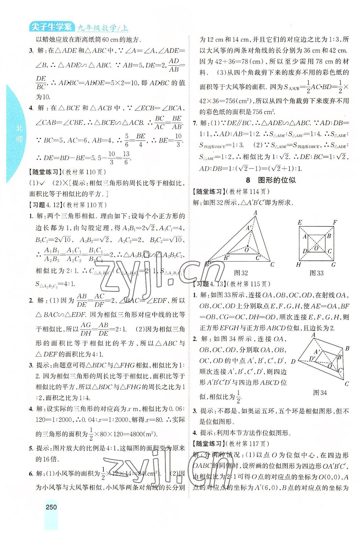 2022年尖子生學(xué)案九年級數(shù)學(xué)上冊北師大版 參考答案第19頁