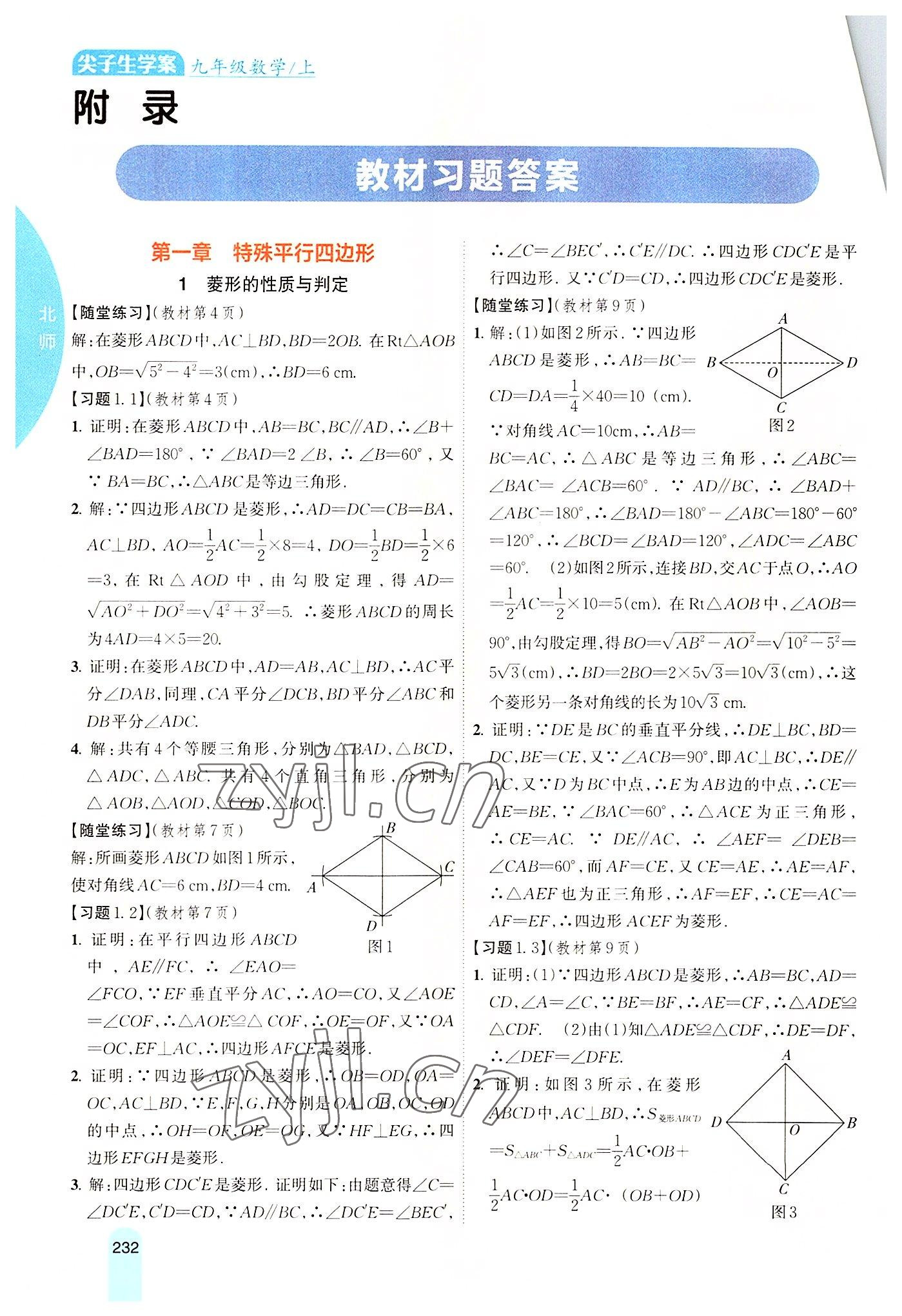 2022年尖子生学案九年级数学上册北师大版 参考答案第1页