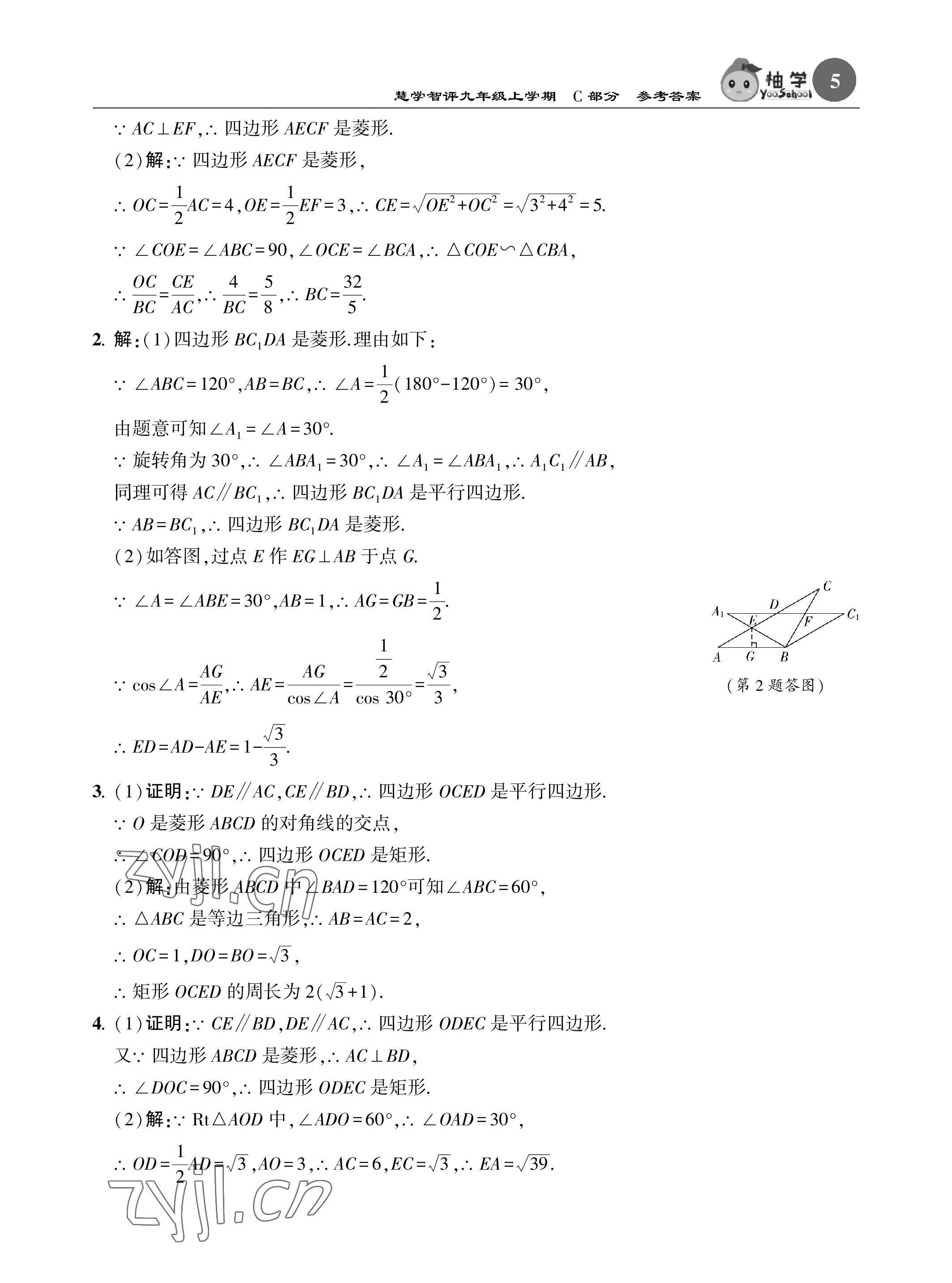 2022年慧學智評九年級數學上冊北師大版 參考答案第36頁