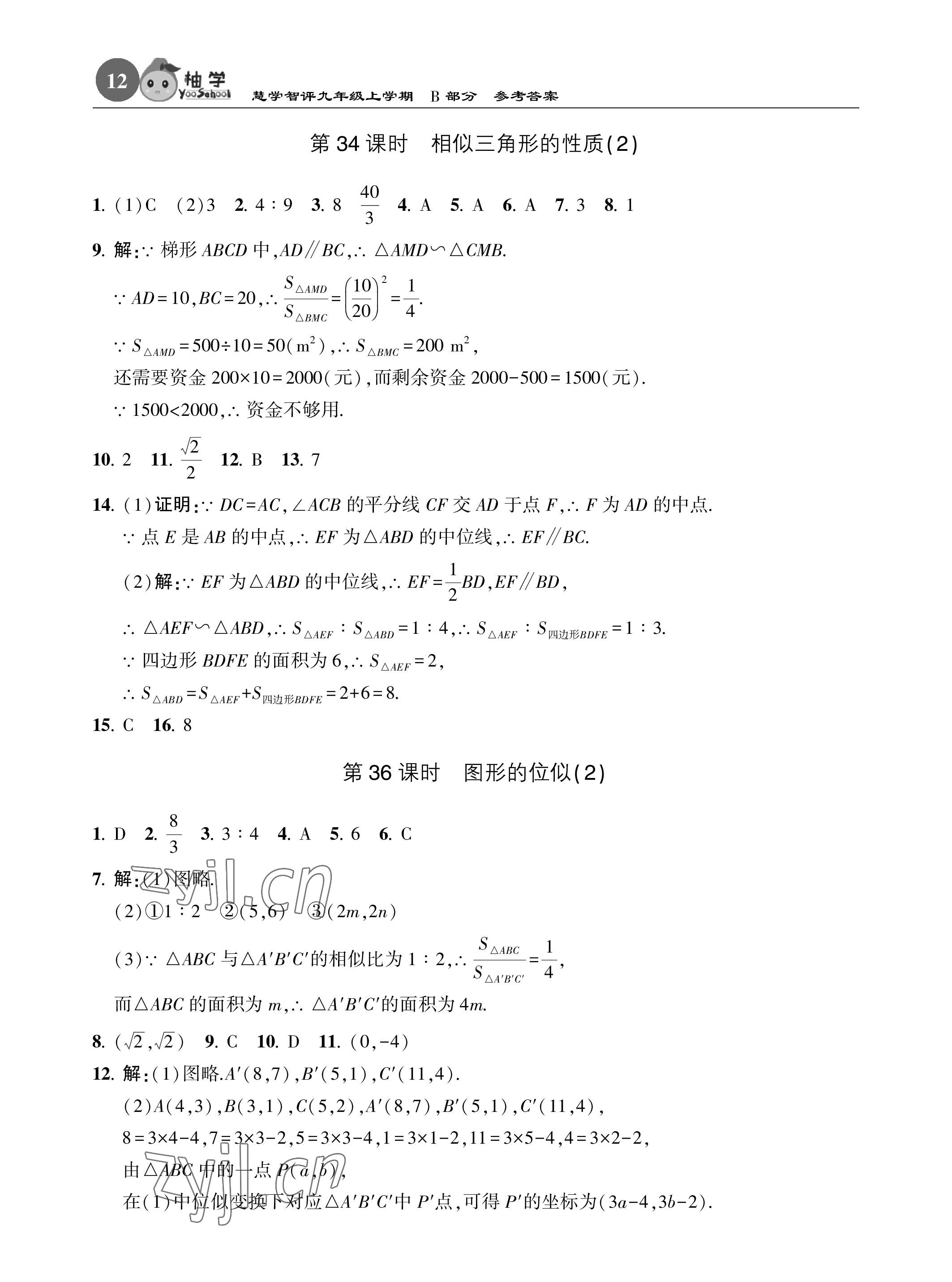 2022年慧學智評九年級數學上冊北師大版 參考答案第28頁