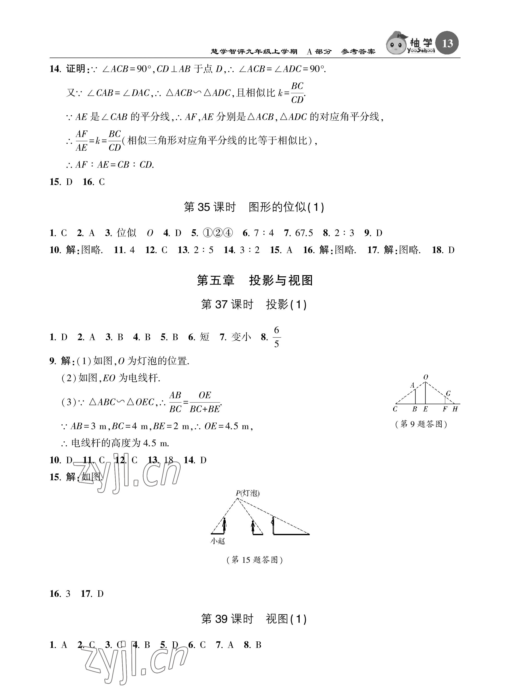 2022年慧學智評九年級數學上冊北師大版 參考答案第13頁