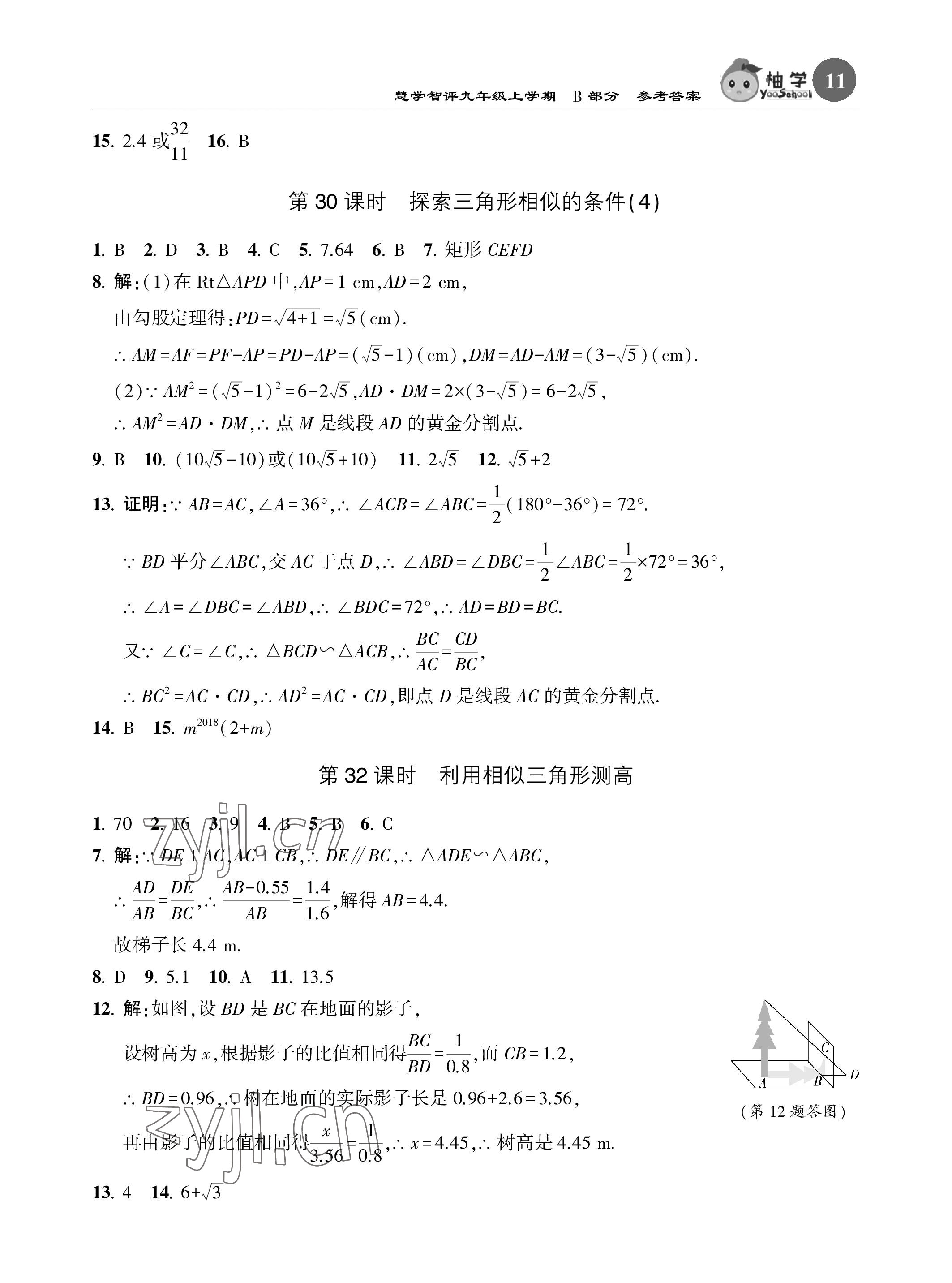 2022年慧學智評九年級數學上冊北師大版 參考答案第27頁