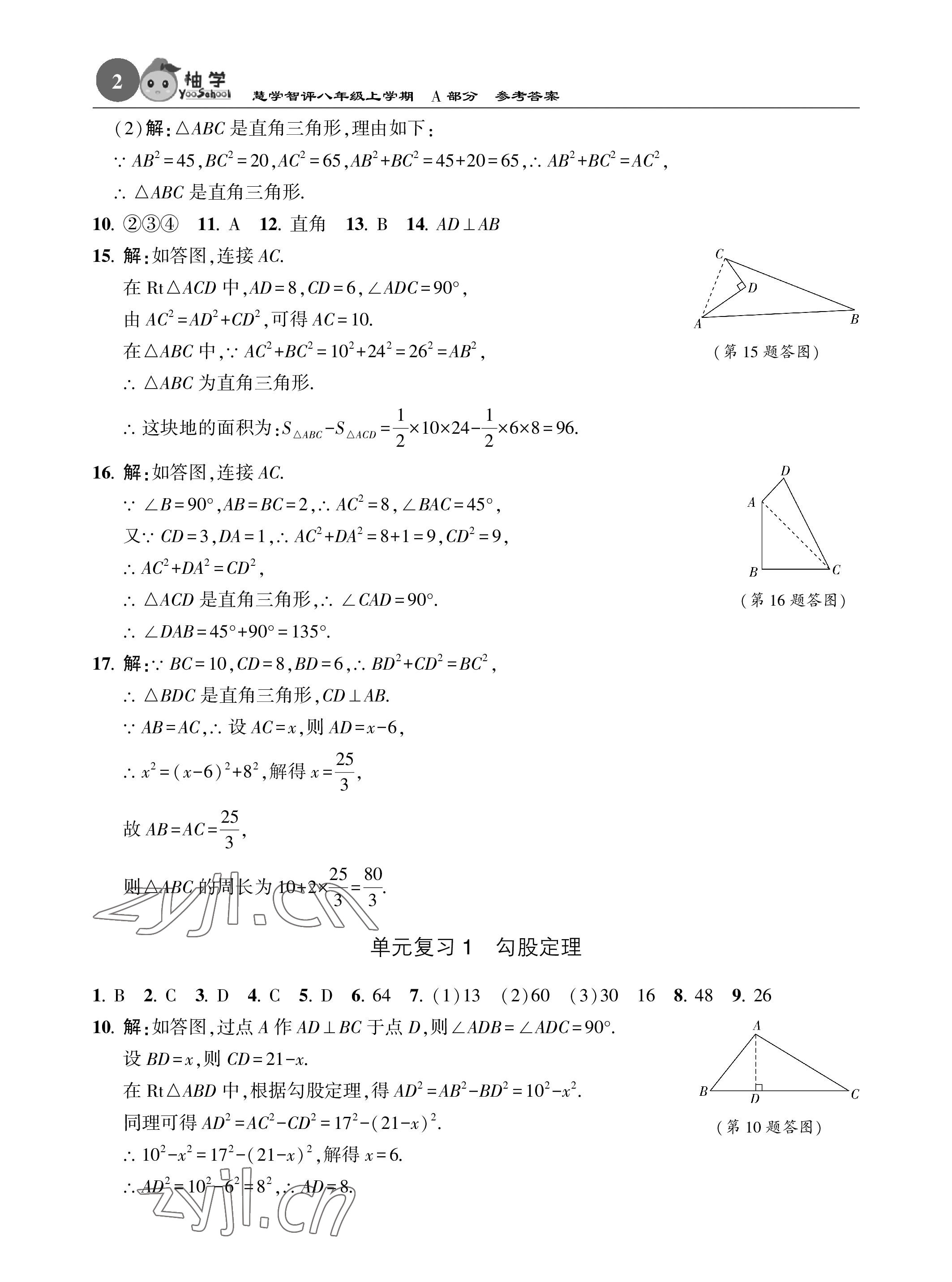 2022年慧學智評八年級數學上冊北師大版 參考答案第2頁