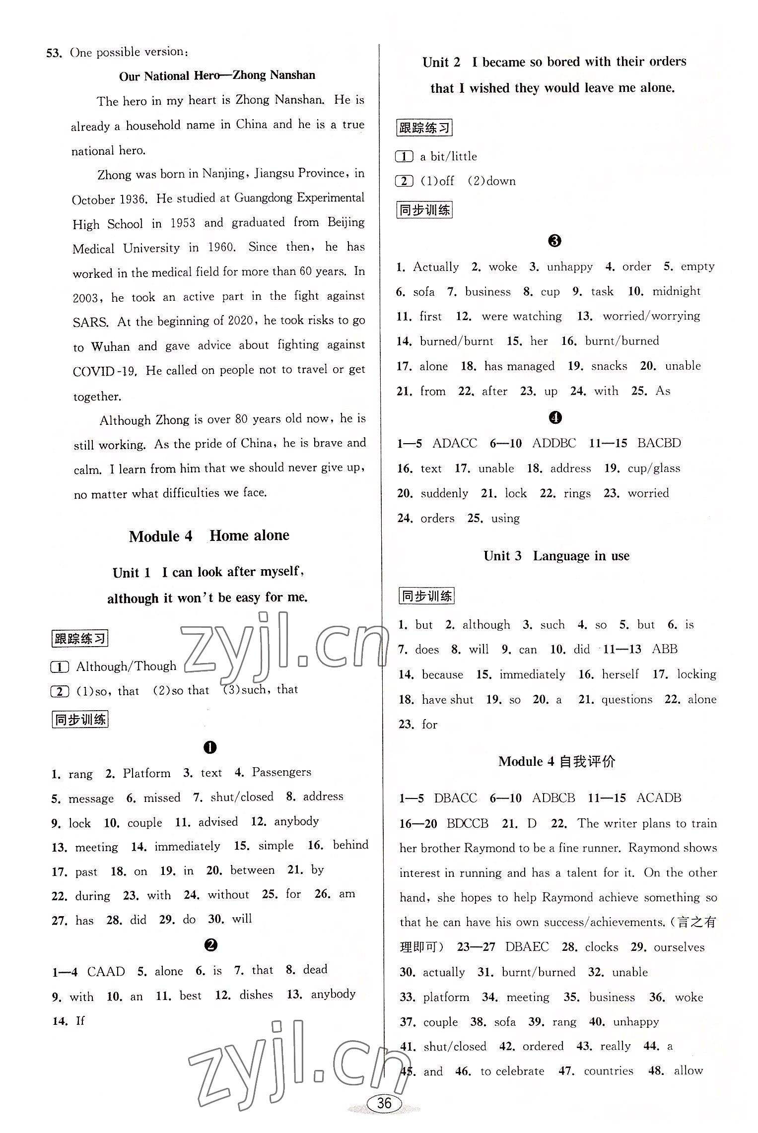 2022年教與學(xué)課程同步講練九年級(jí)英語全一冊(cè)外研新標(biāo)準(zhǔn) 第4頁