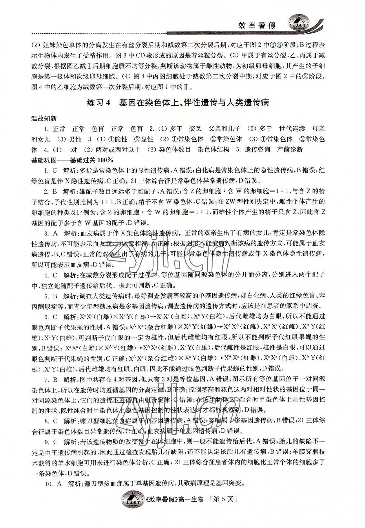 2022年效率暑假江蘇人民出版社高一生物通用版 參考答案第5頁