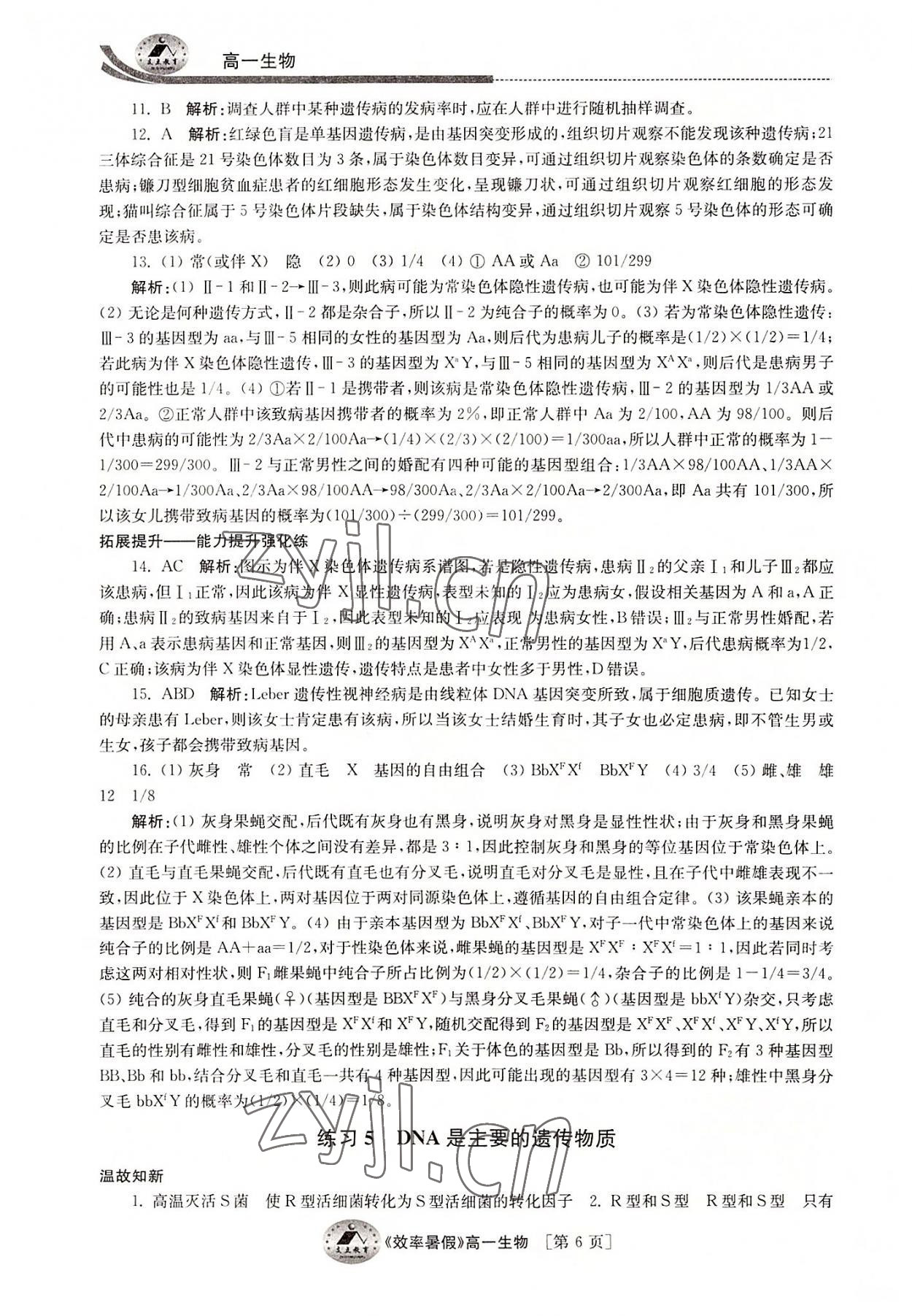 2022年效率暑假江苏人民出版社高一生物通用版 参考答案第6页