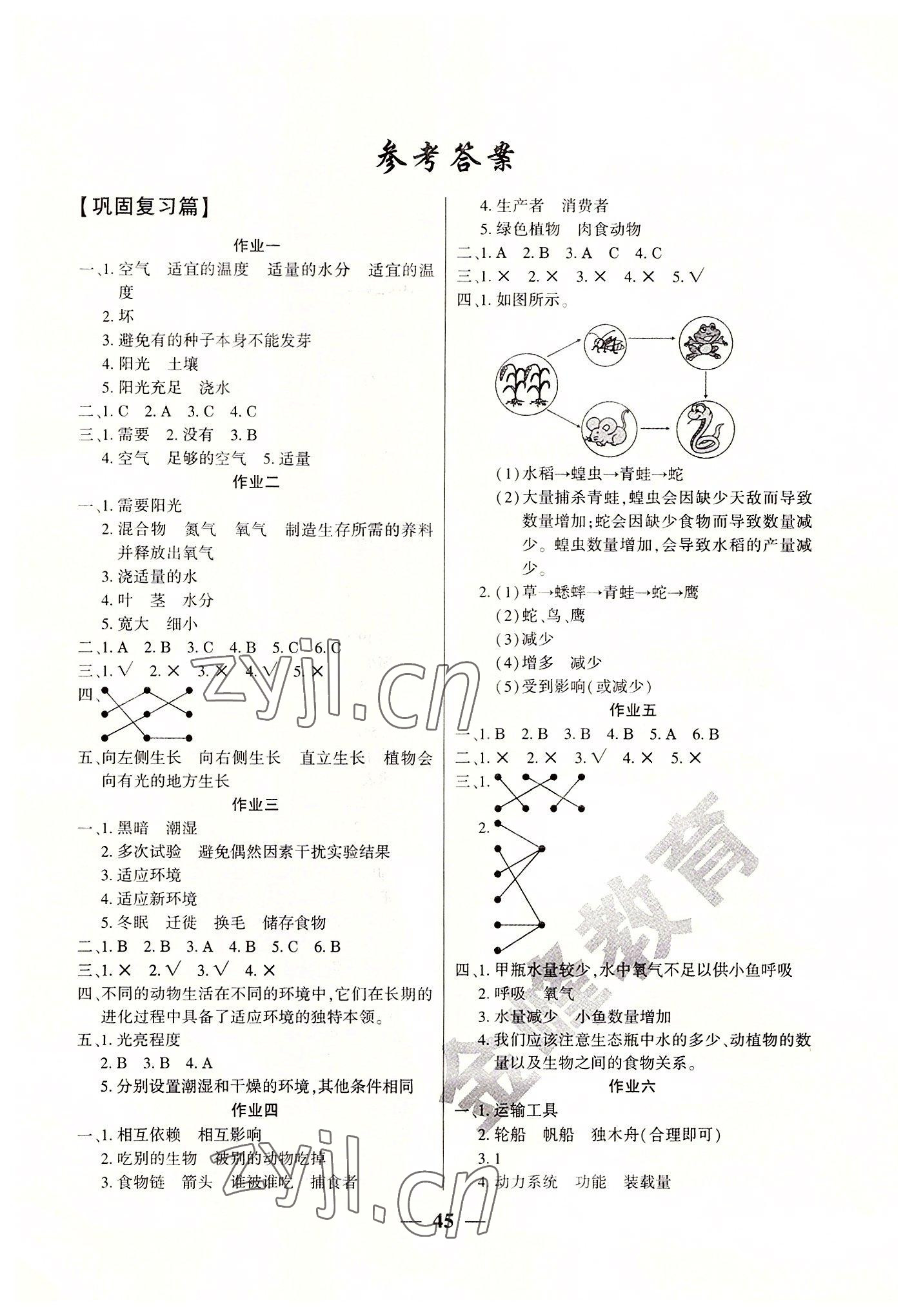 2022年金峰教育开心作业暑假作业五年级科学教科版 第1页