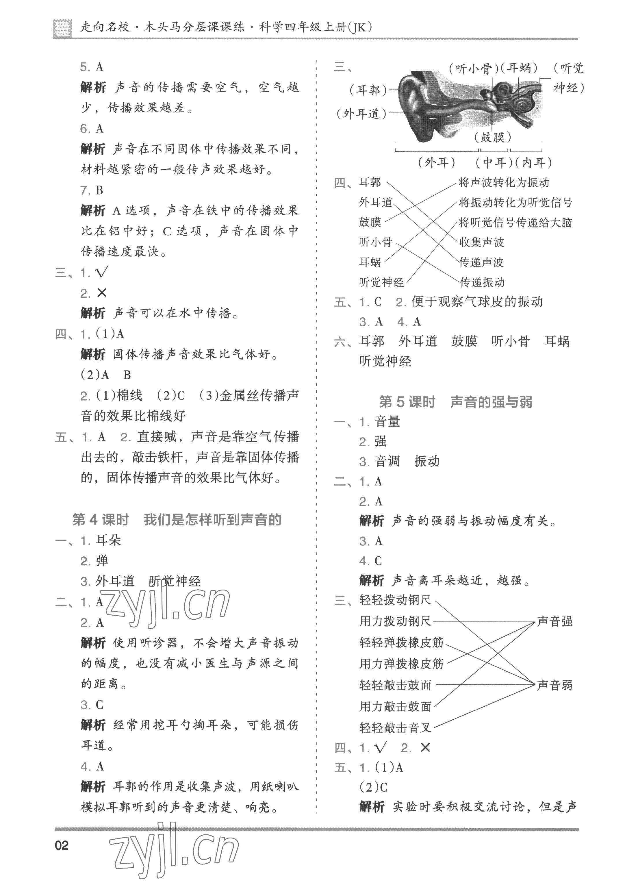 2022年木頭馬分層課課練四年級科學上冊教科版 第2頁