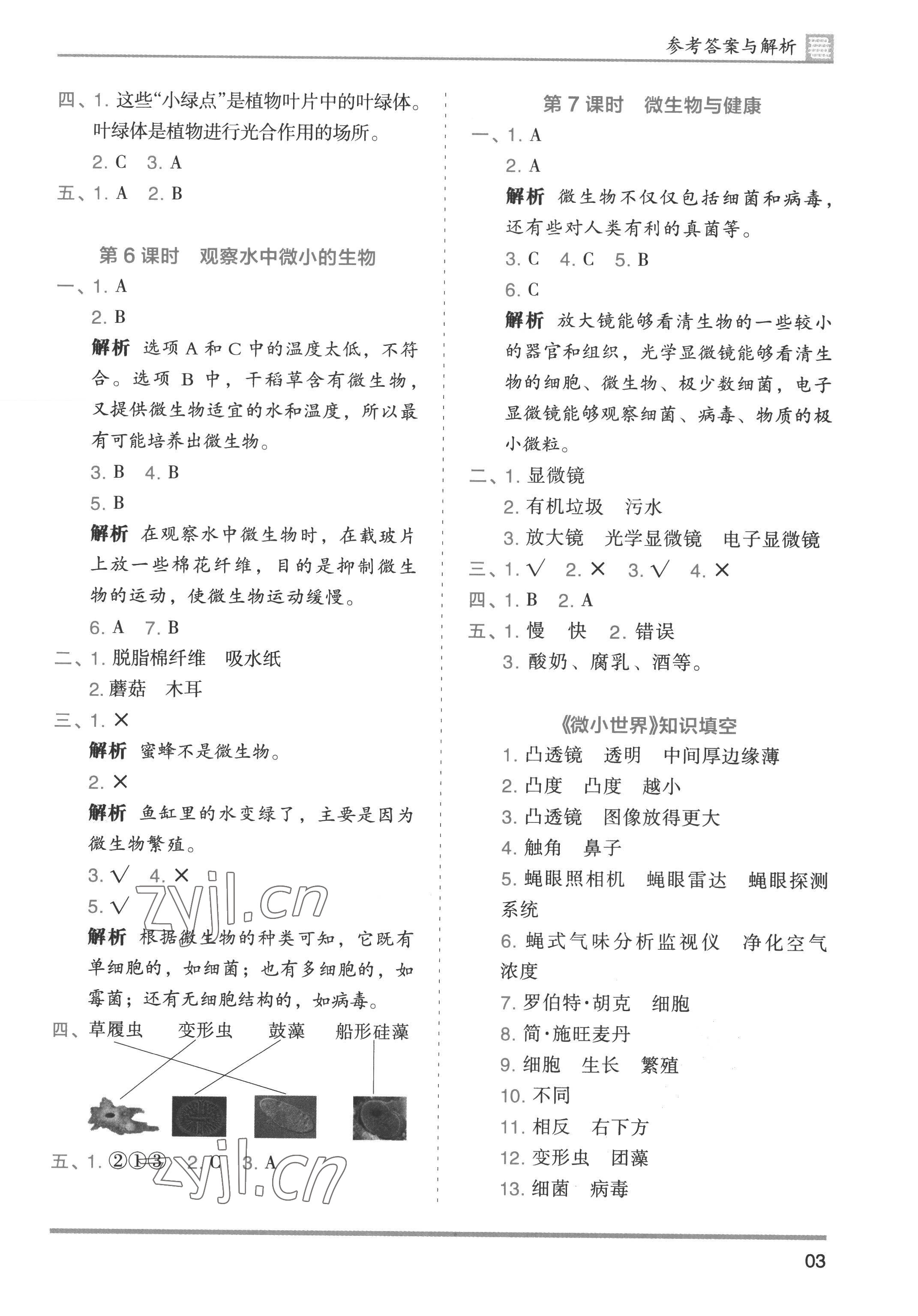 2022年木頭馬分層課課練六年級科學(xué)上冊教科版 第3頁