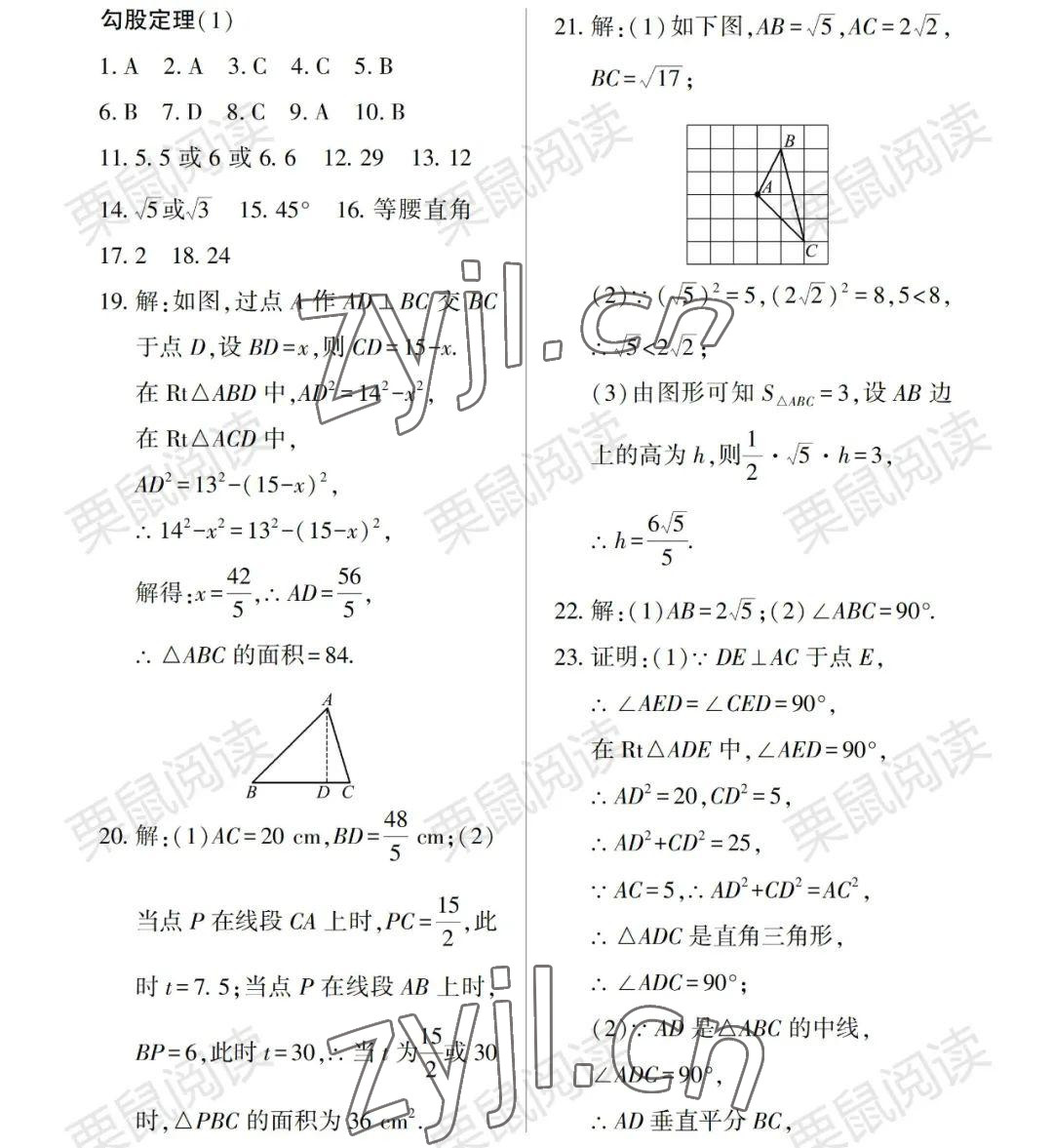 2022年暑假Happy假日七年級數(shù)學(xué)通用版 參考答案第1頁