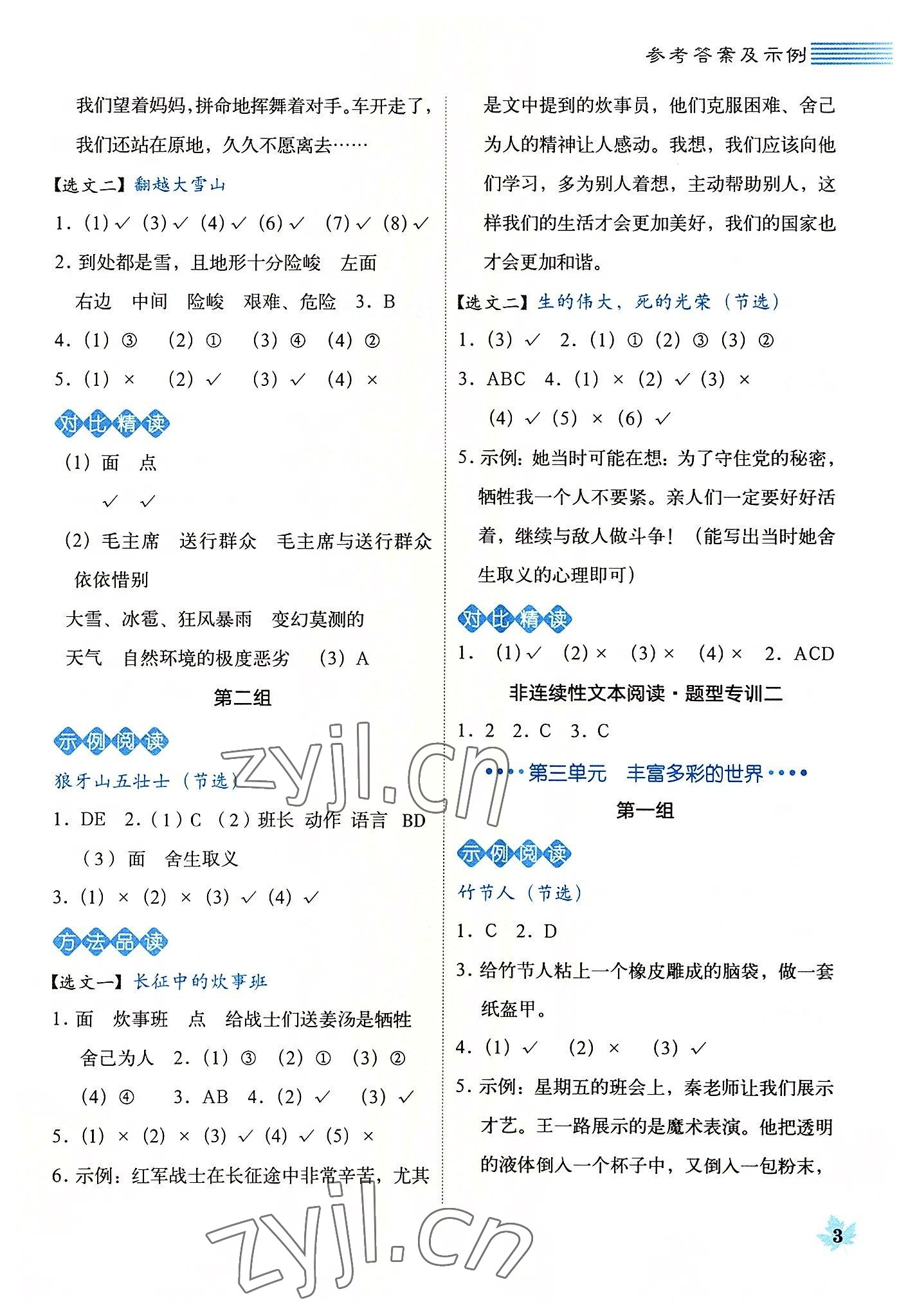 2022年魔卡閱讀目標(biāo)訓(xùn)練法六年級(jí)語文上冊(cè)人教版 第3頁