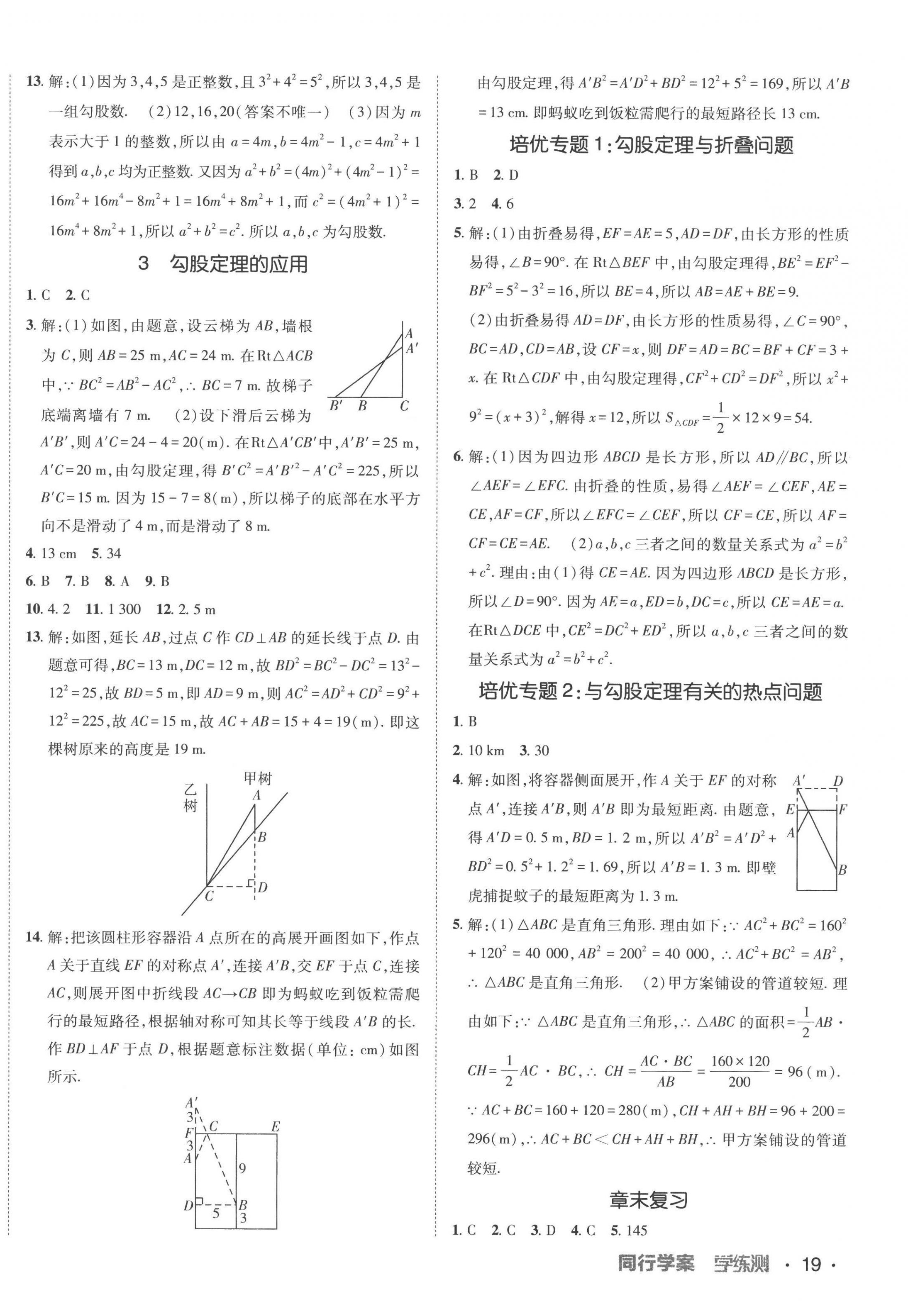 2022年同行學(xué)案學(xué)練測八年級數(shù)學(xué)上冊北師大版 第2頁