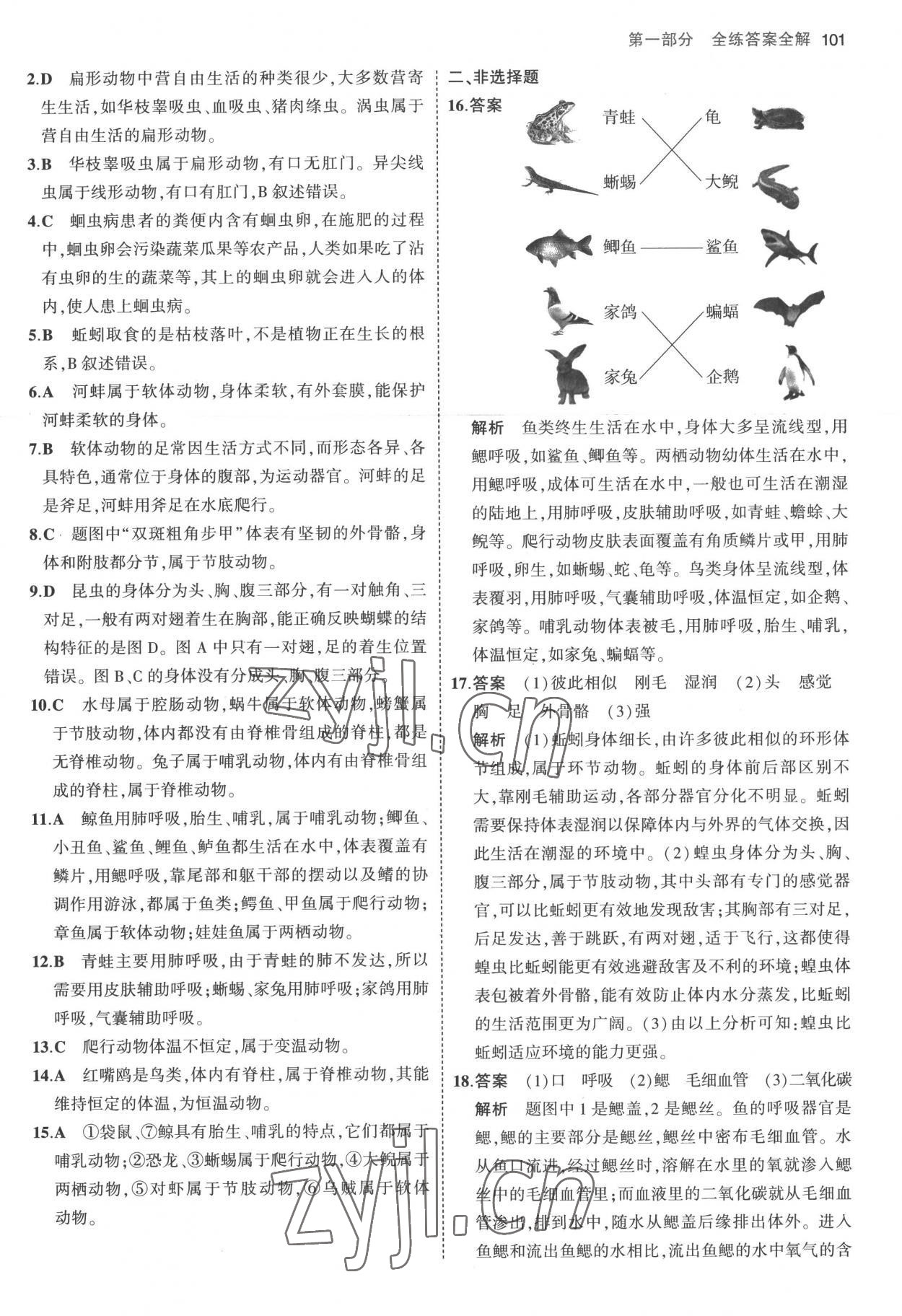 2022年5年中考3年模拟八年级生物上册人教版 参考答案第7页