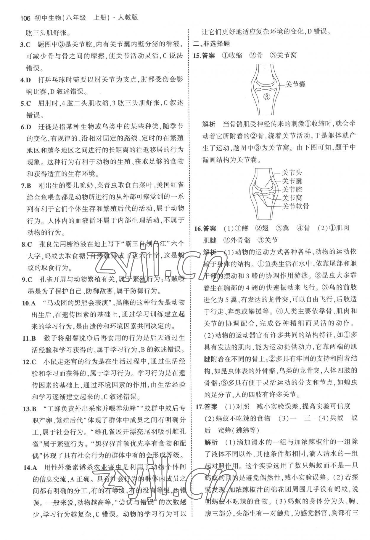 2022年5年中考3年模擬八年級生物上冊人教版 參考答案第12頁