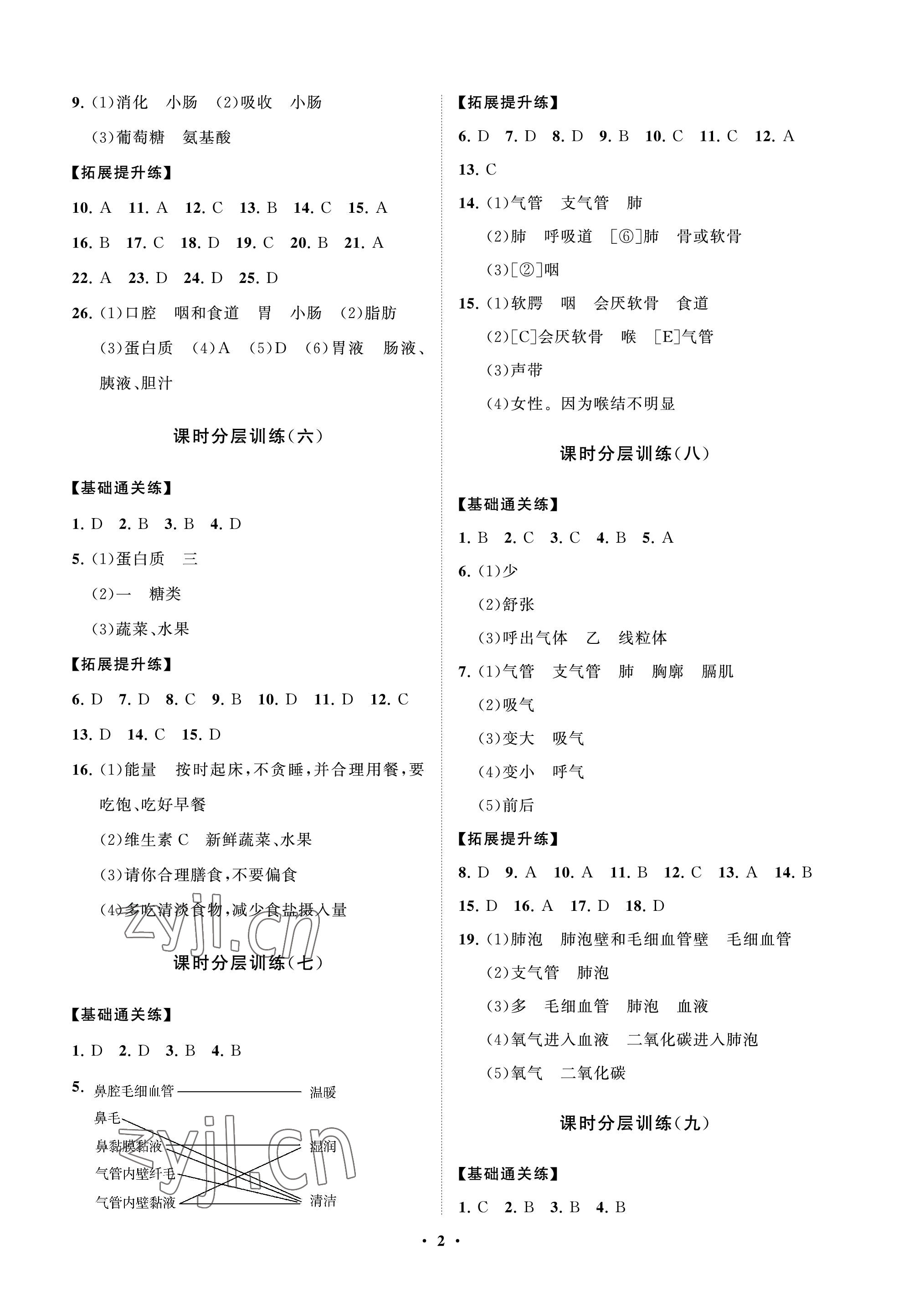 2022年同步練習(xí)冊(cè)分層卷七年級(jí)生物上冊(cè)魯科版54制 參考答案第2頁(yè)