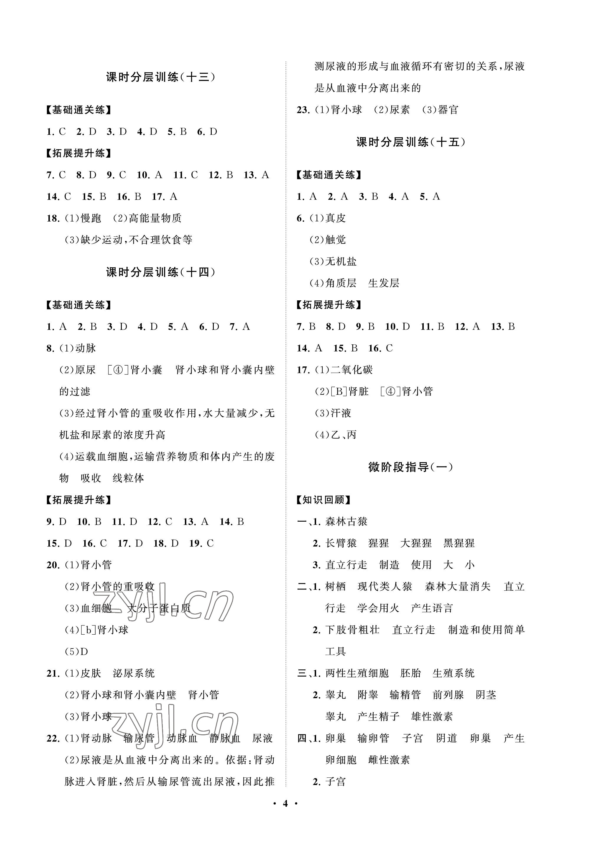 2022年同步練習(xí)冊分層卷七年級生物上冊魯科版54制 參考答案第4頁