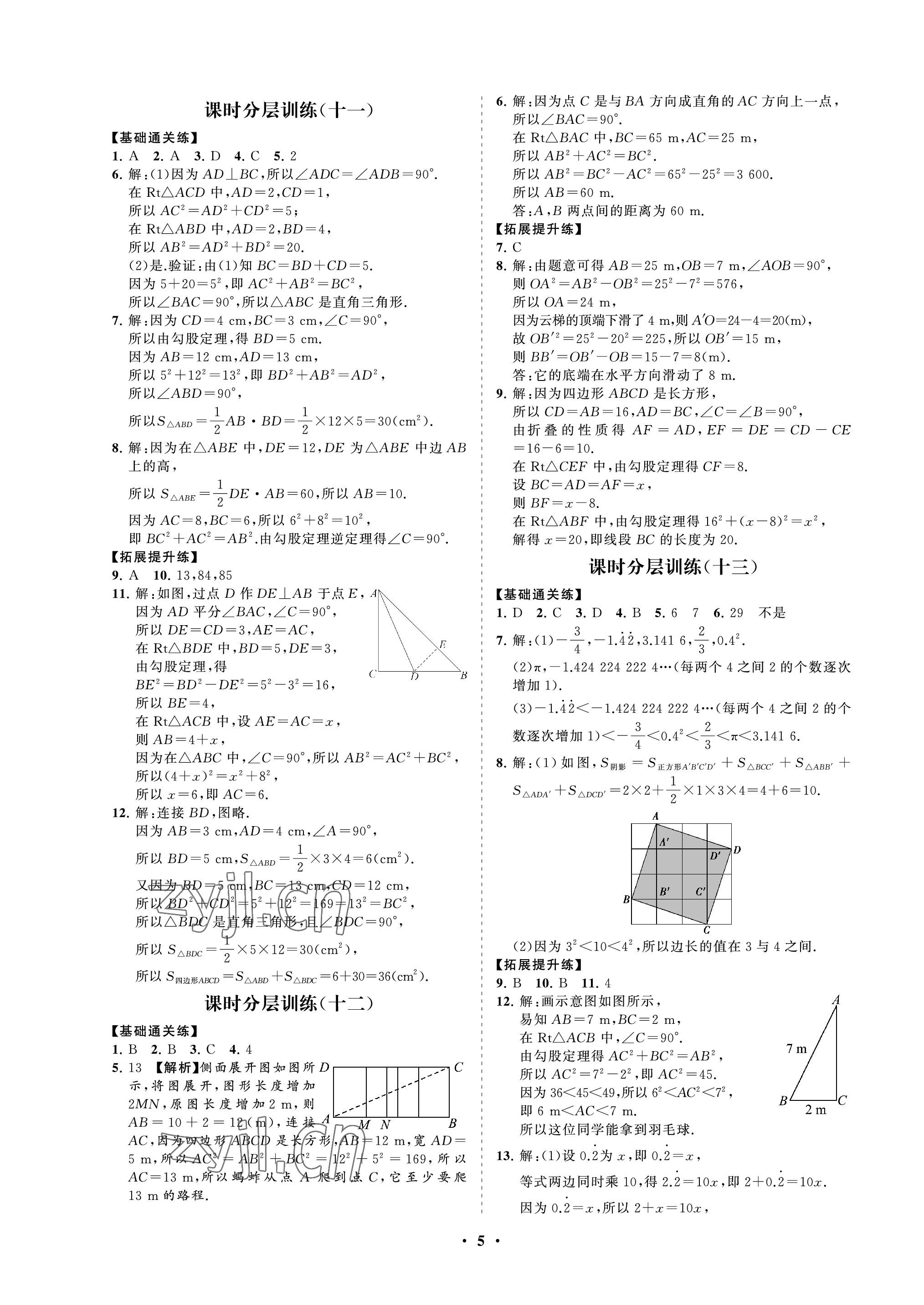 2022年同步練習(xí)冊分層卷七年級數(shù)學(xué)上冊魯教版54制 參考答案第5頁