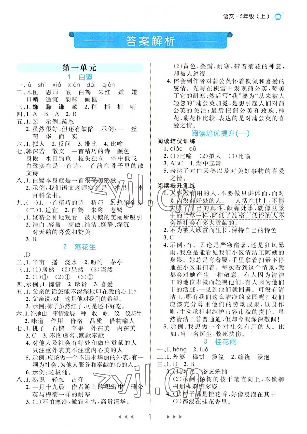 2022年細(xì)解巧練五年級(jí)語(yǔ)文上冊(cè)人教版 第1頁(yè)