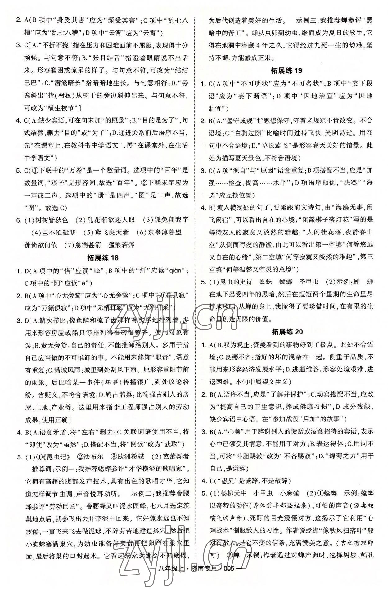 2022年學霸組合訓練八年級語文上冊人教版濟南專版 第5頁