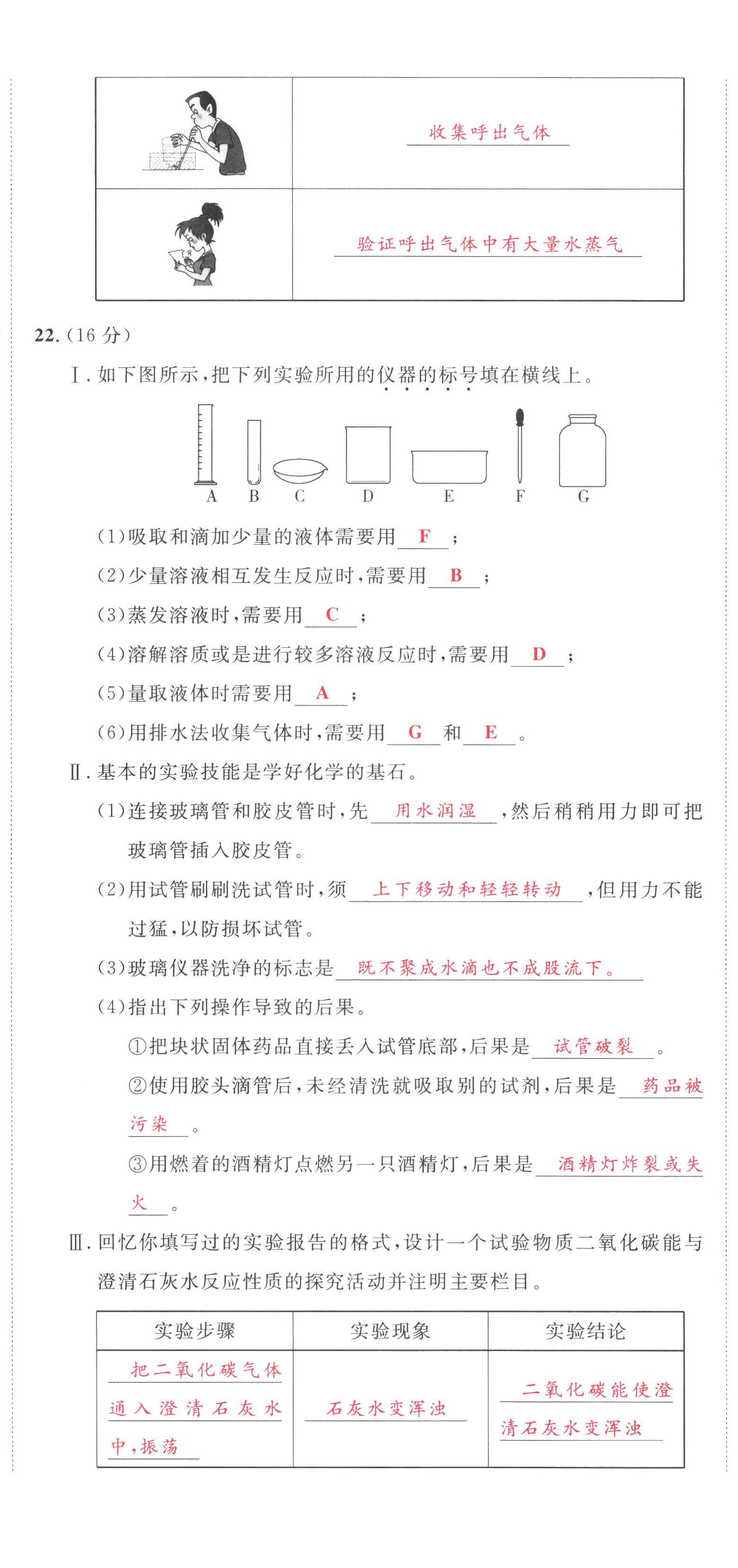 2022年驕子1號九年級化學上冊人教版 第5頁