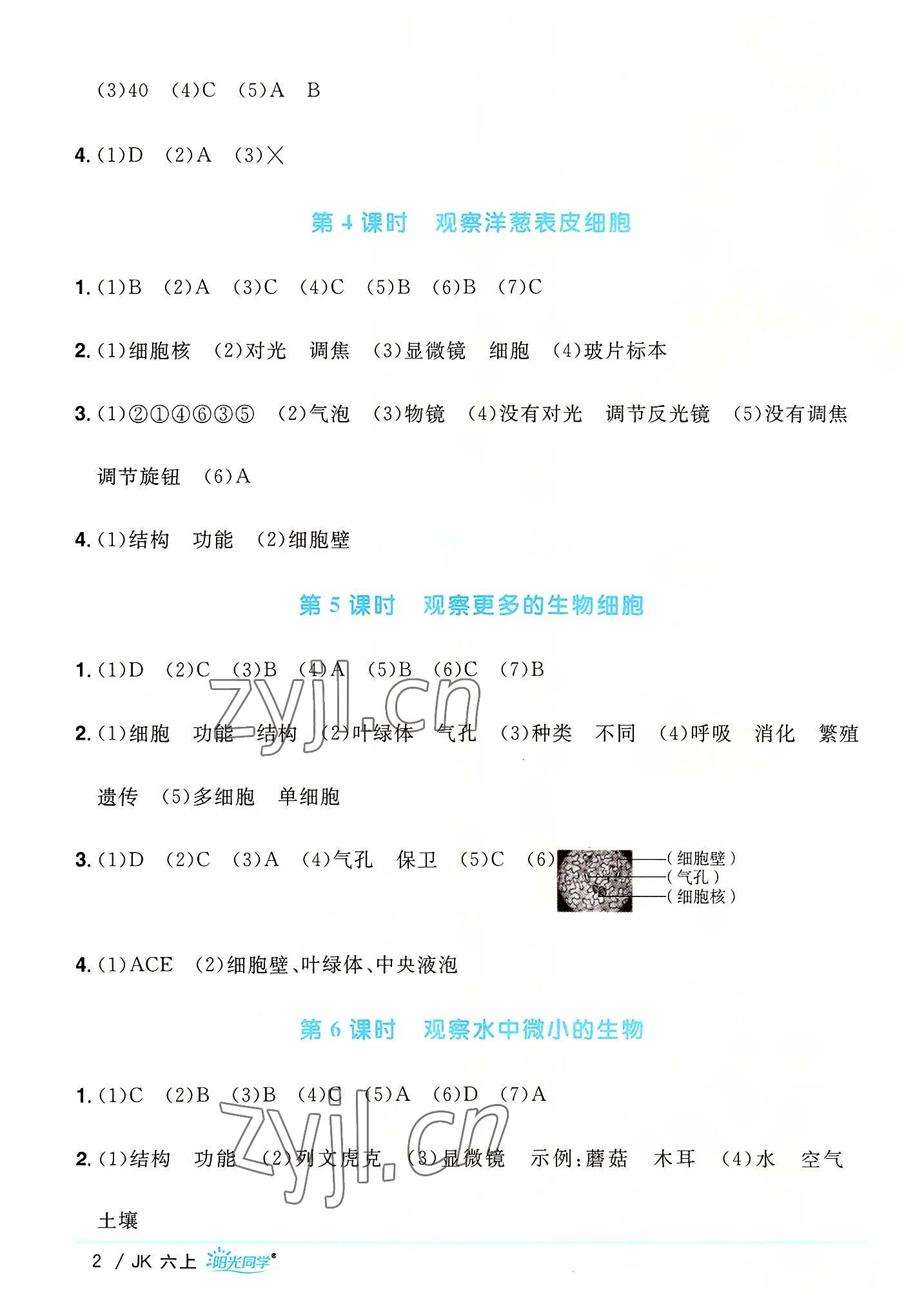 2022年陽光同學(xué)課時(shí)優(yōu)化作業(yè)六年級科學(xué)上冊教科版 第2頁