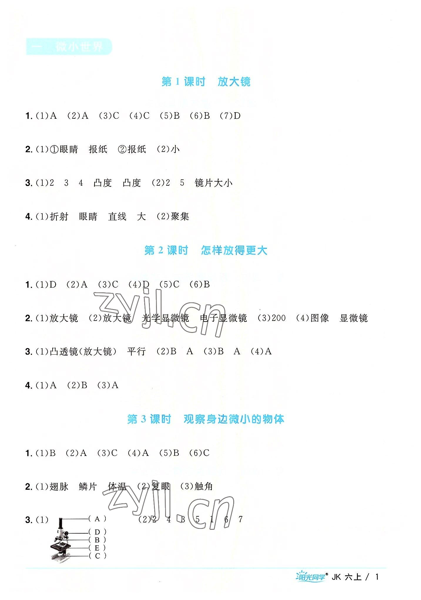 2022年陽(yáng)光同學(xué)課時(shí)優(yōu)化作業(yè)六年級(jí)科學(xué)上冊(cè)教科版 第1頁(yè)