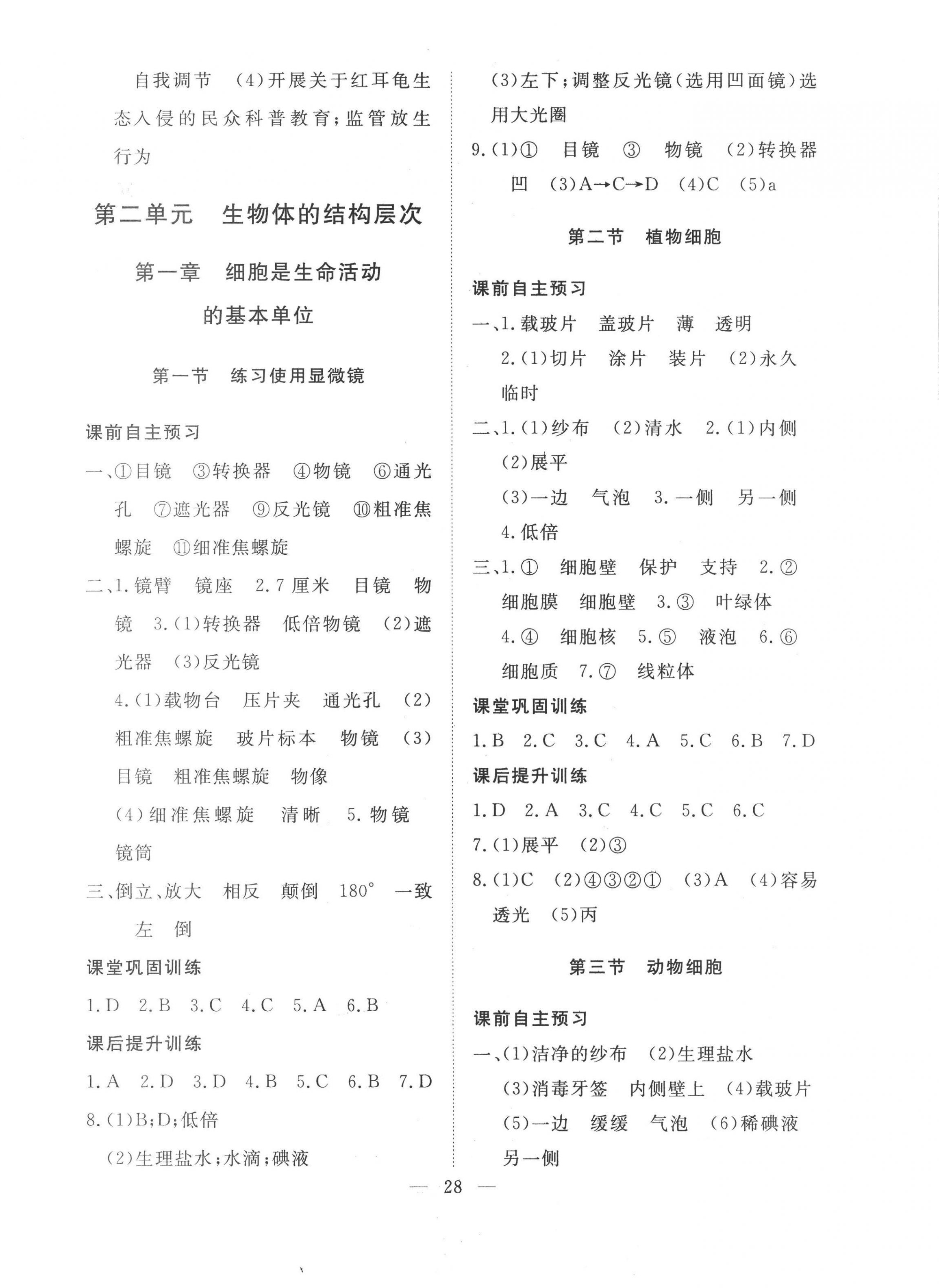 2022年標準課堂七年級生物上冊人教版 第4頁