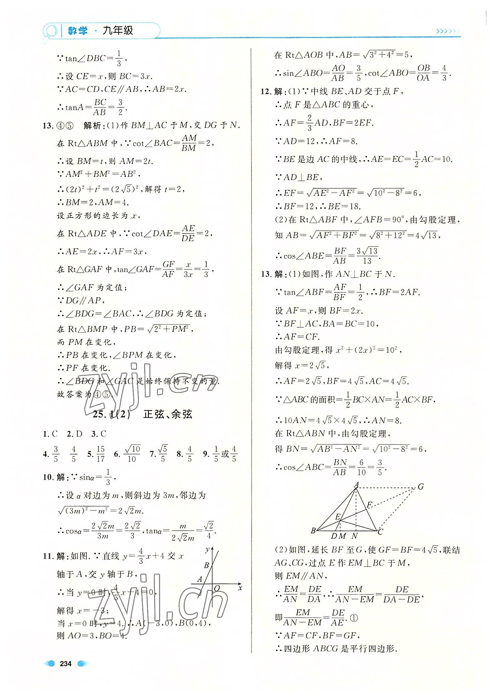 2022年上海作业九年级数学全一册沪教版54制 第14页