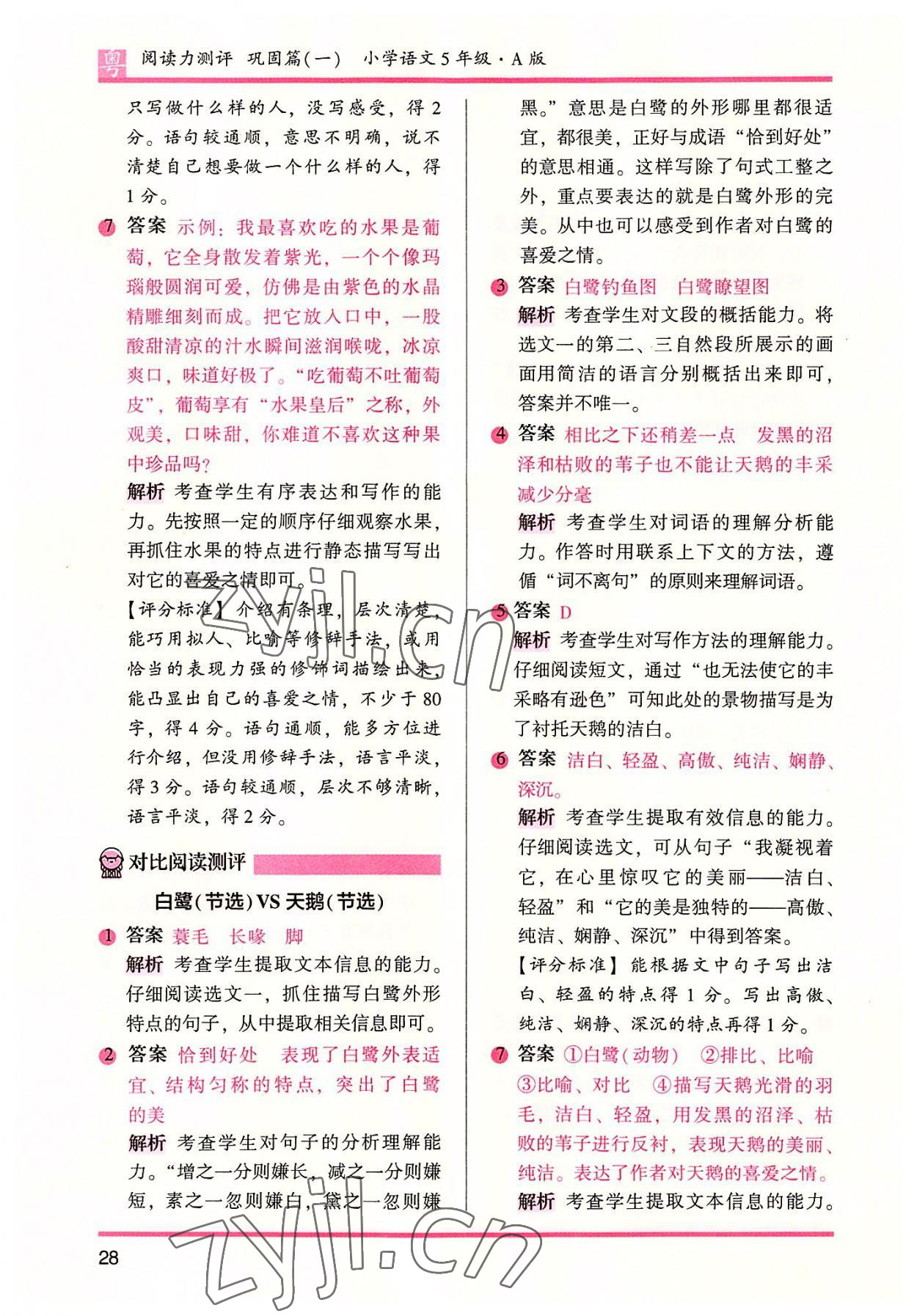 2022年木頭馬閱讀力測評小學語文五年級培優(yōu)篇A版廣東專版 參考答案第11頁