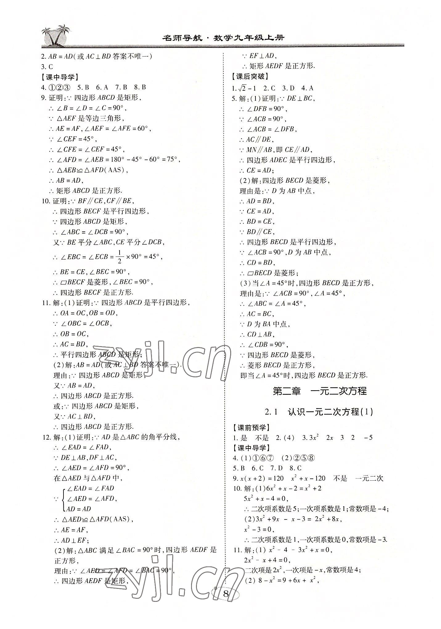 2022年名师导航九年级数学上册北师大版广东专版 第8页