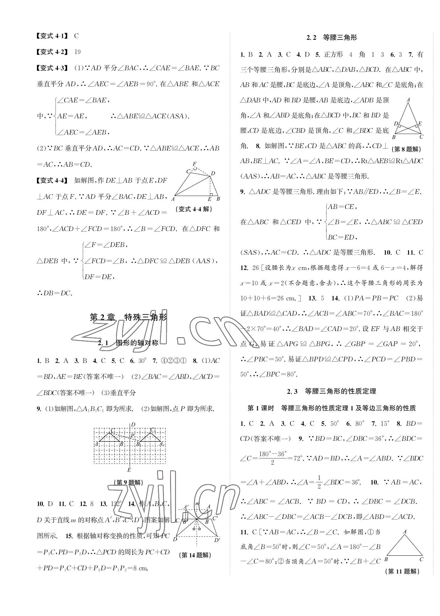 2022年自主輕松練八年級數(shù)學(xué)上冊浙教版 第5頁