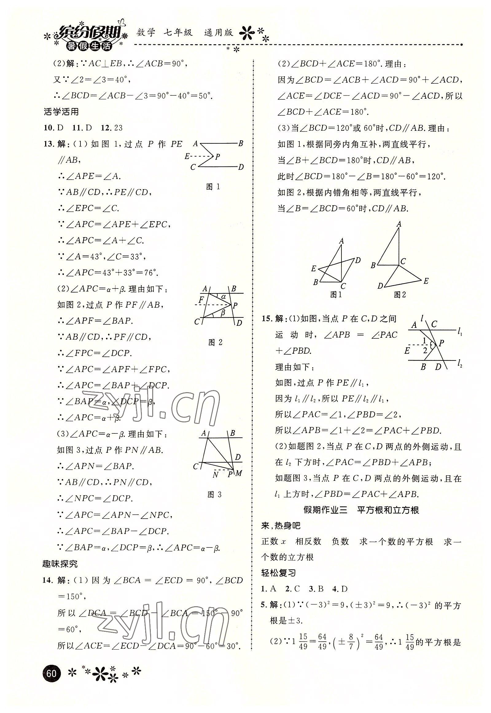 2022年缤纷假期七年级数学河北教育出版社 第2页