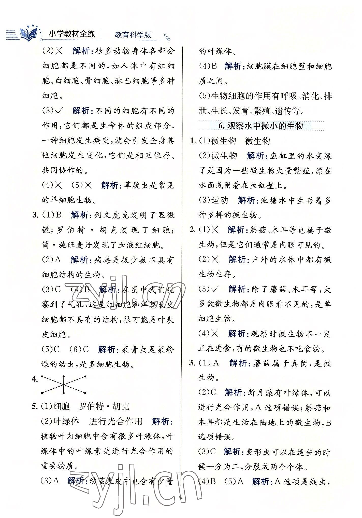 2022年教材全練六年級(jí)科學(xué)上冊(cè)教科版 第4頁(yè)