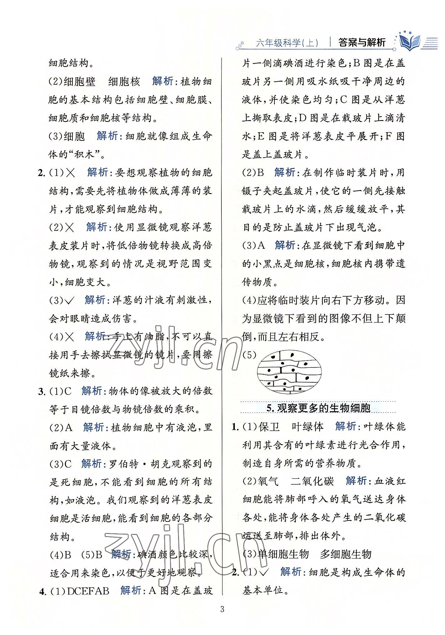 2022年教材全練六年級科學(xué)上冊教科版 第3頁